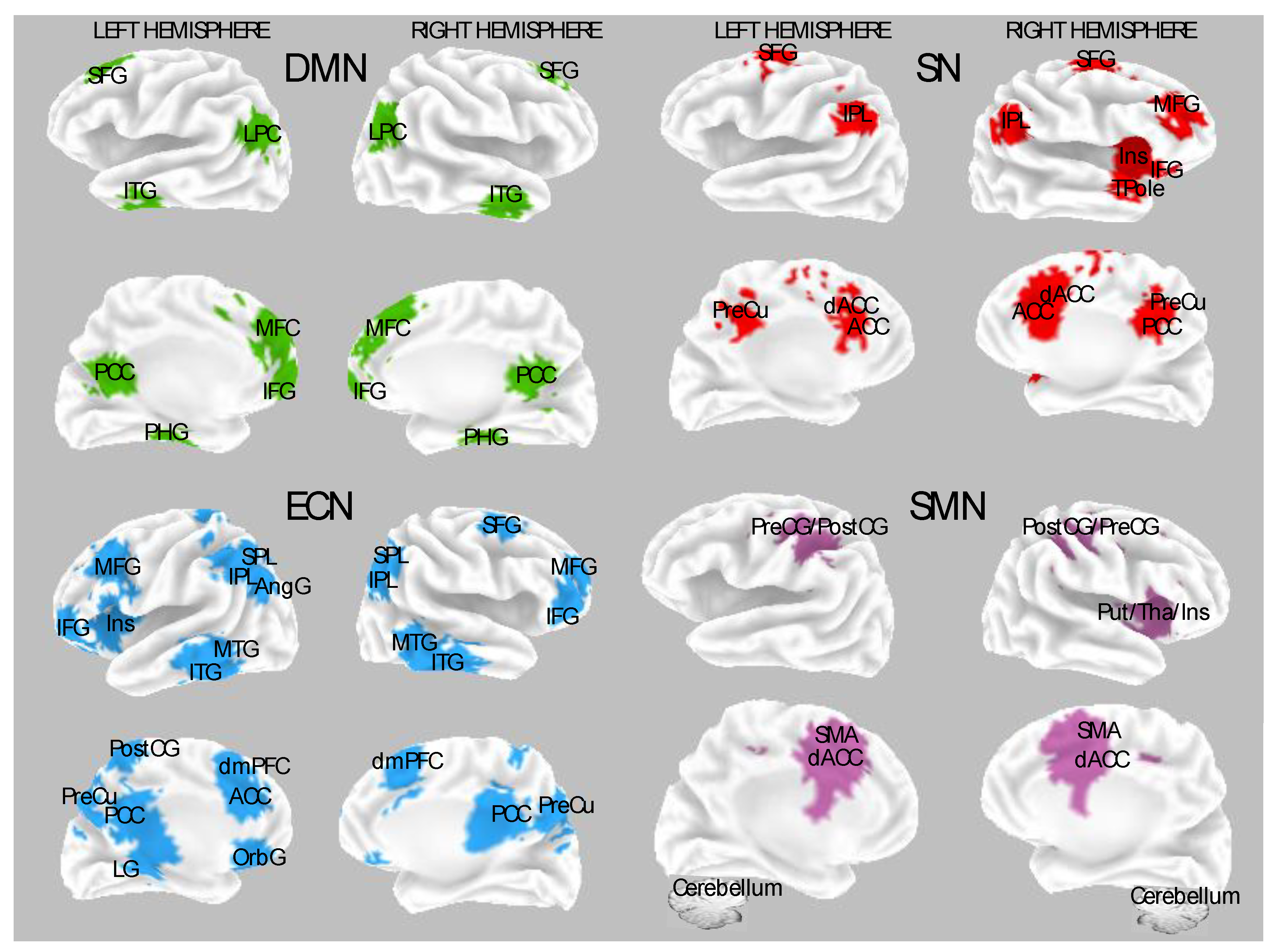 Brainsci 14 00115 g001 Brainsci 14 00115 g001