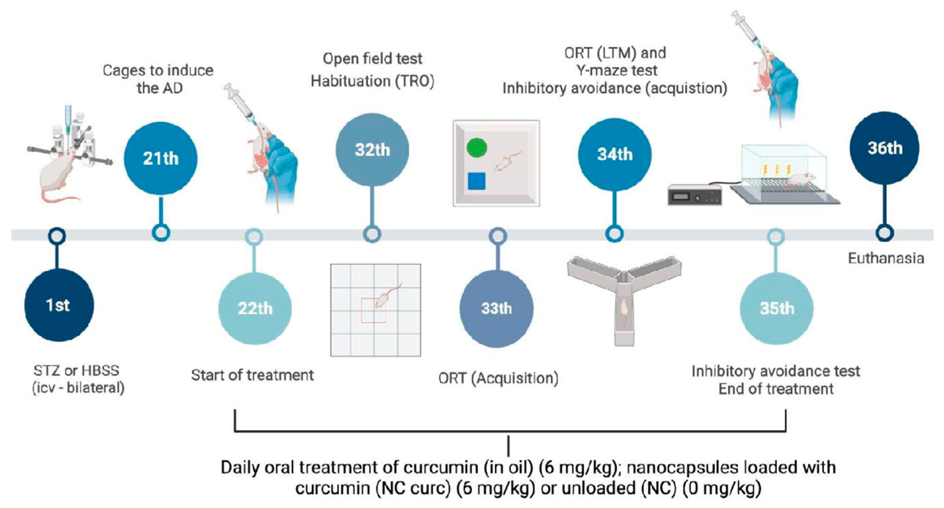 Brainsci 14 00130 g001