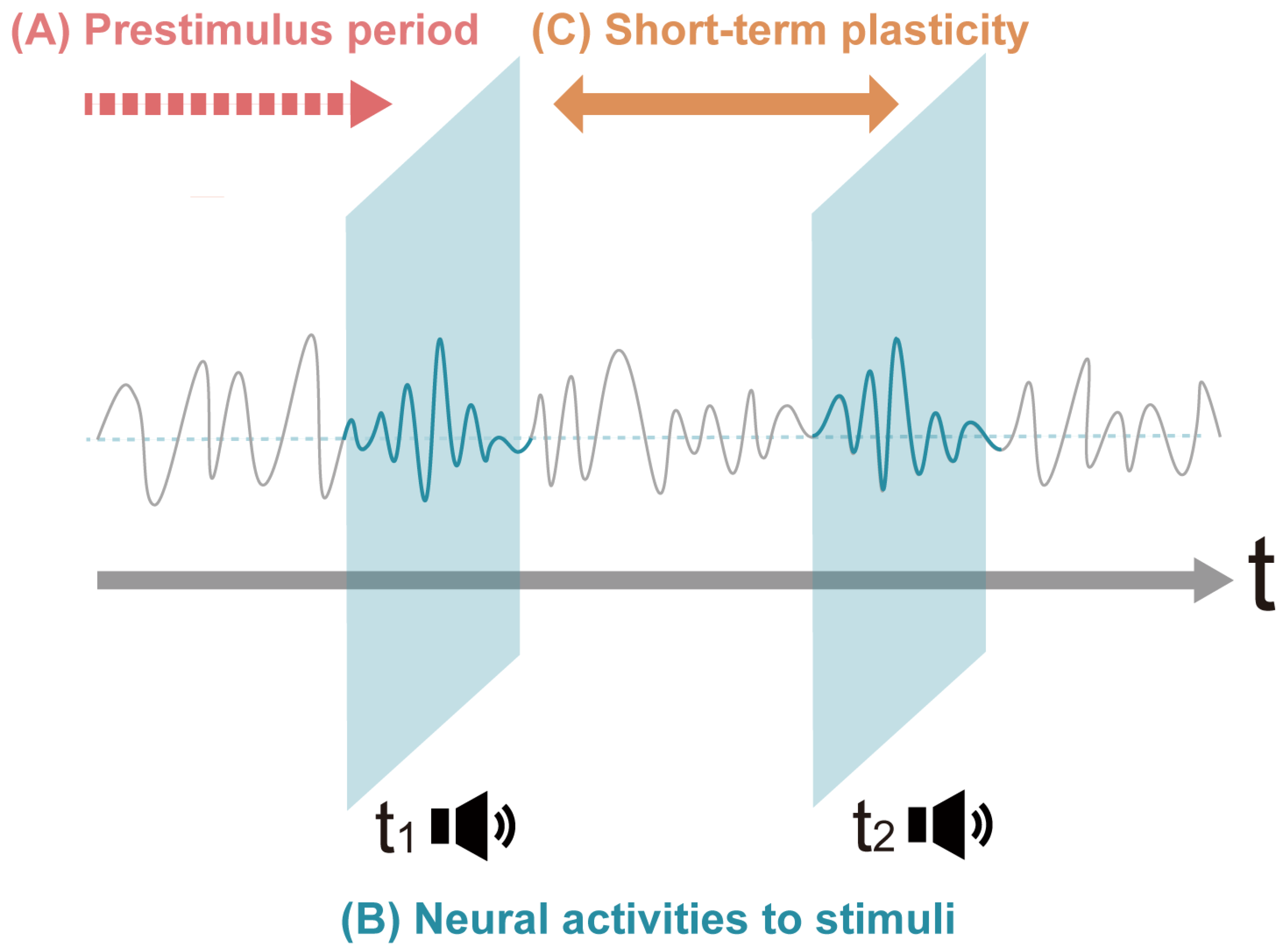 Brainsci 14 00131 g001