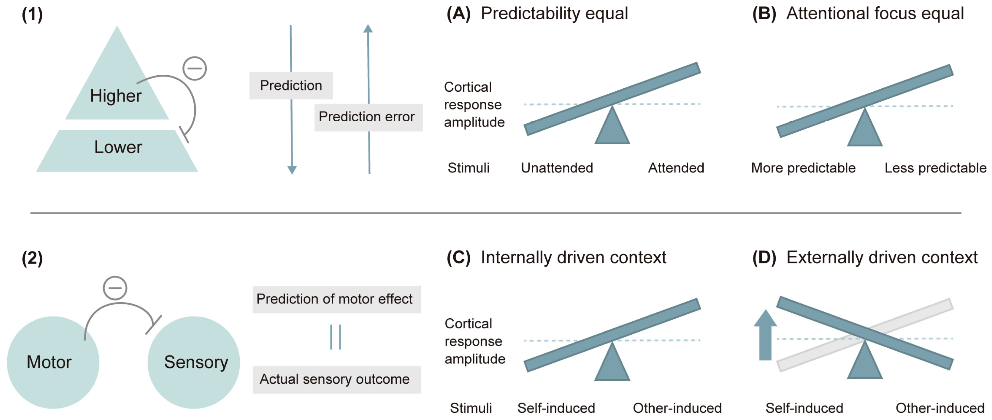 Brainsci 14 00131 g004