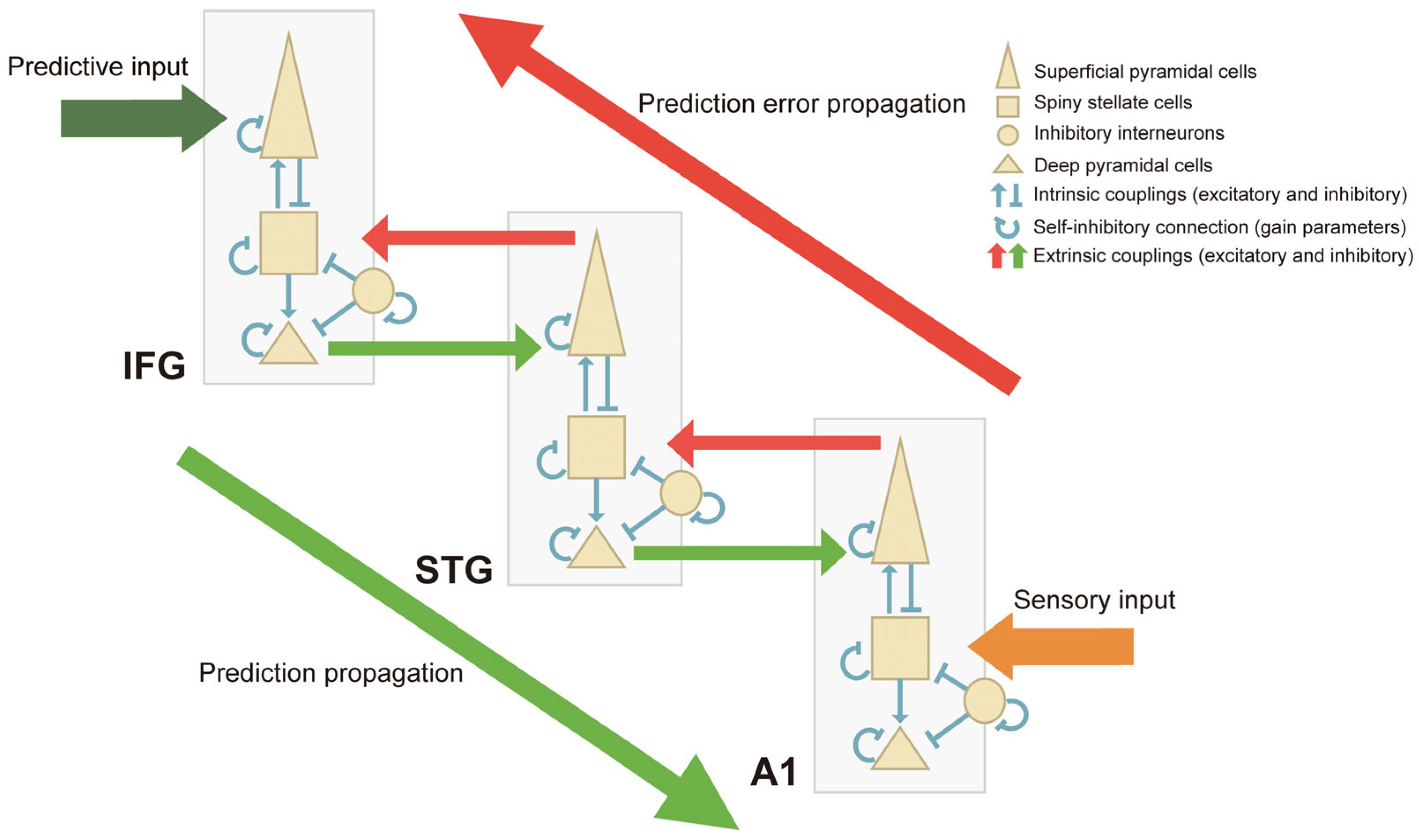 Brainsci 14 00131 g005