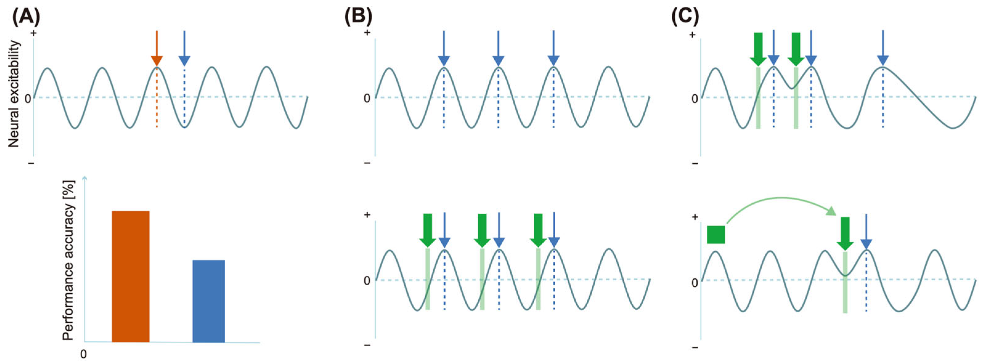 Brainsci 14 00131 g006