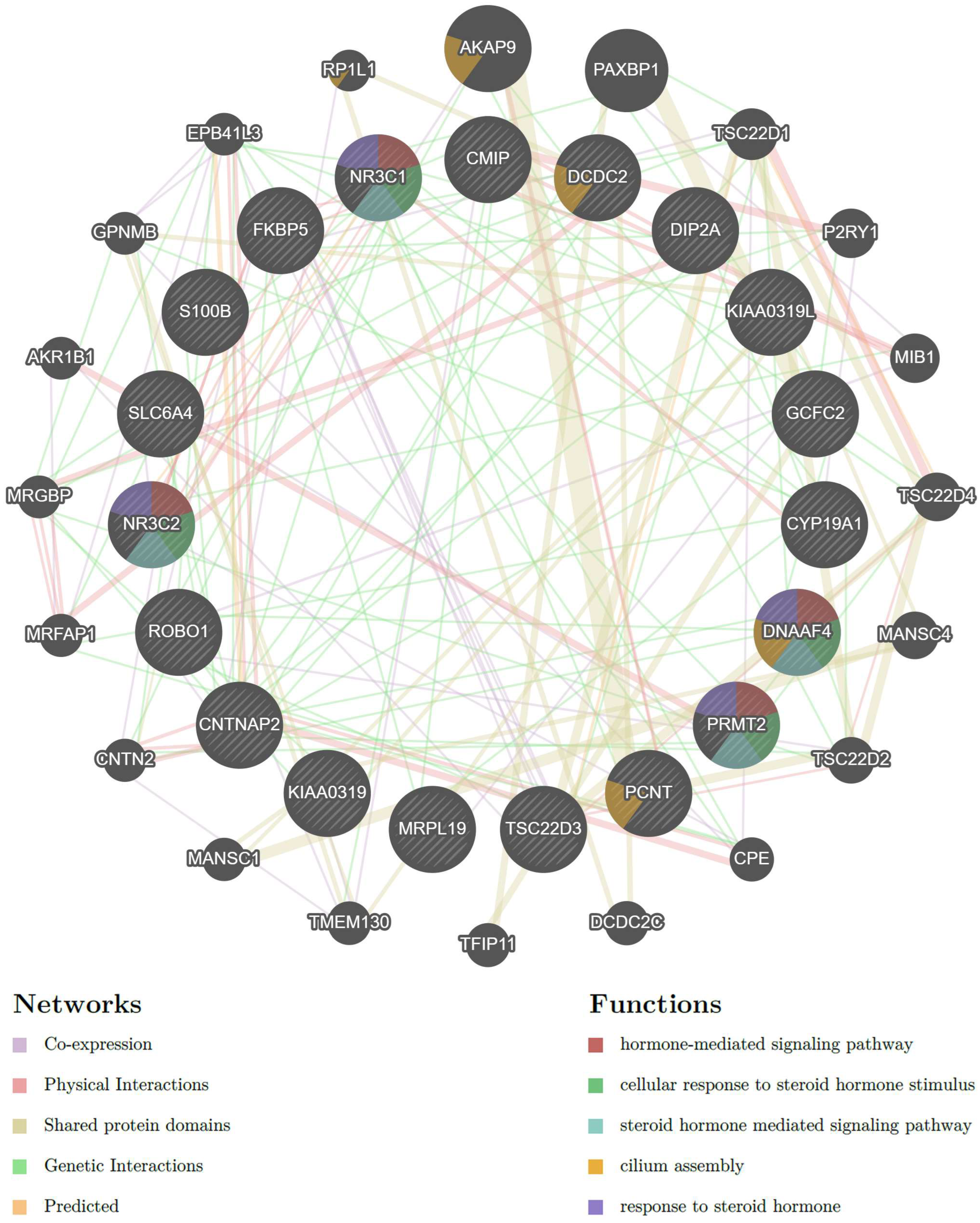 Brainsci 14 00139 g002 Brainsci 14 00139 g002