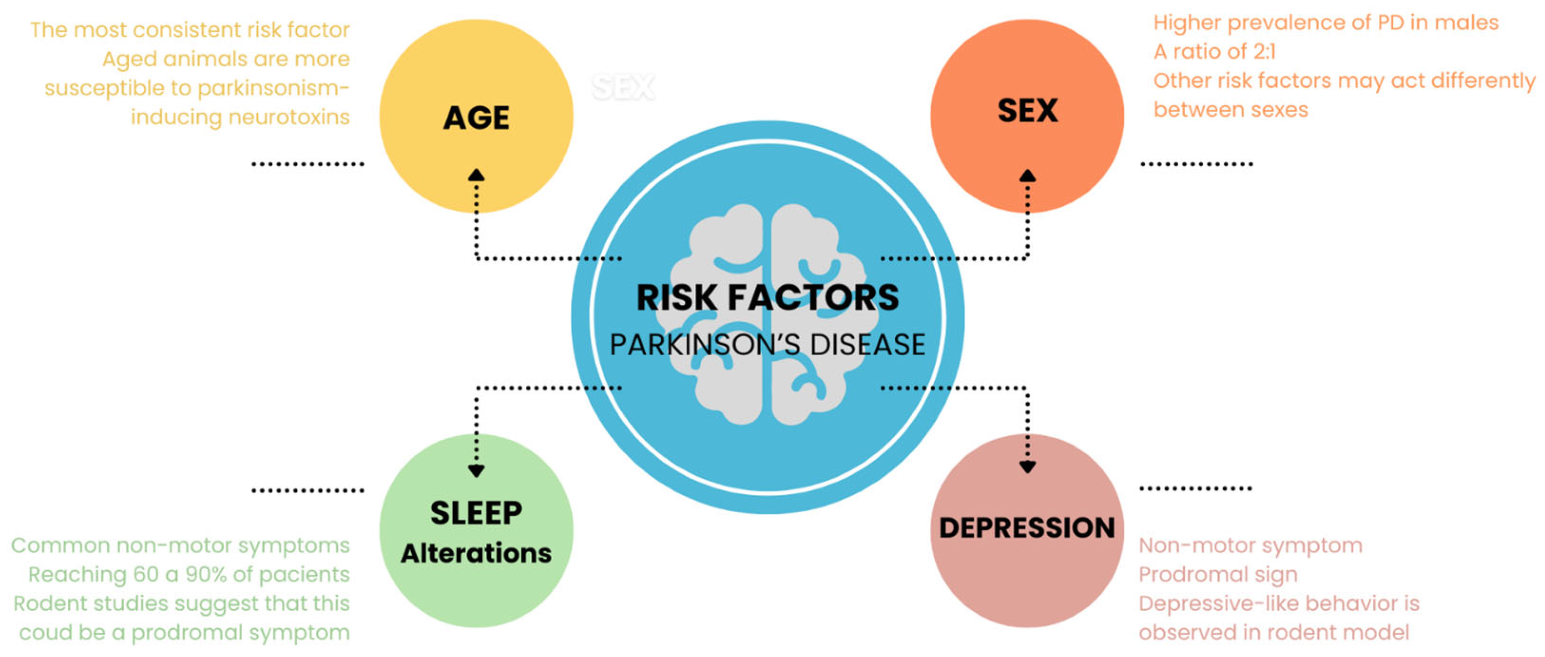 Brainsci 14 00156 g001