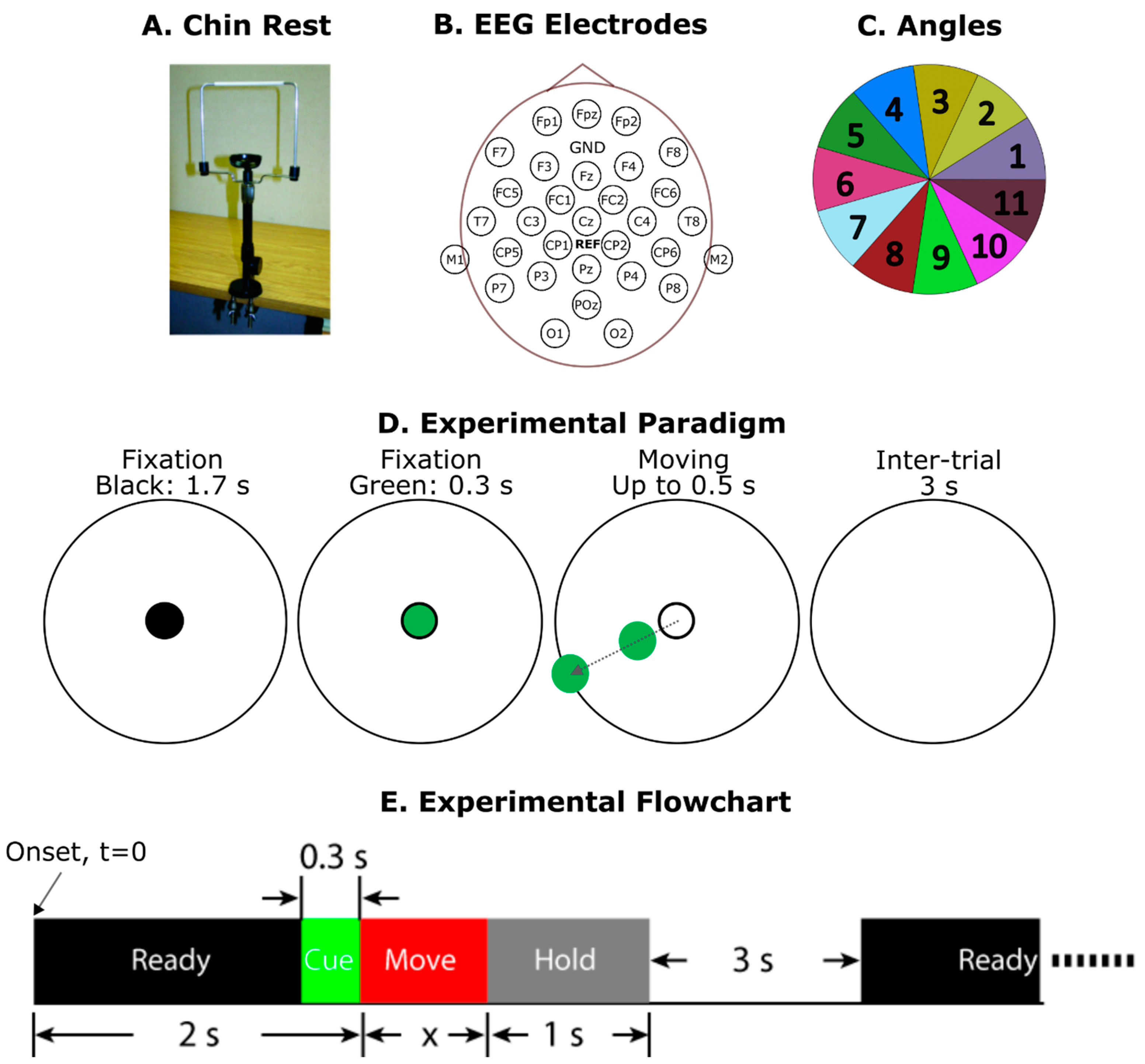 Brainsci 14 00160 g001
