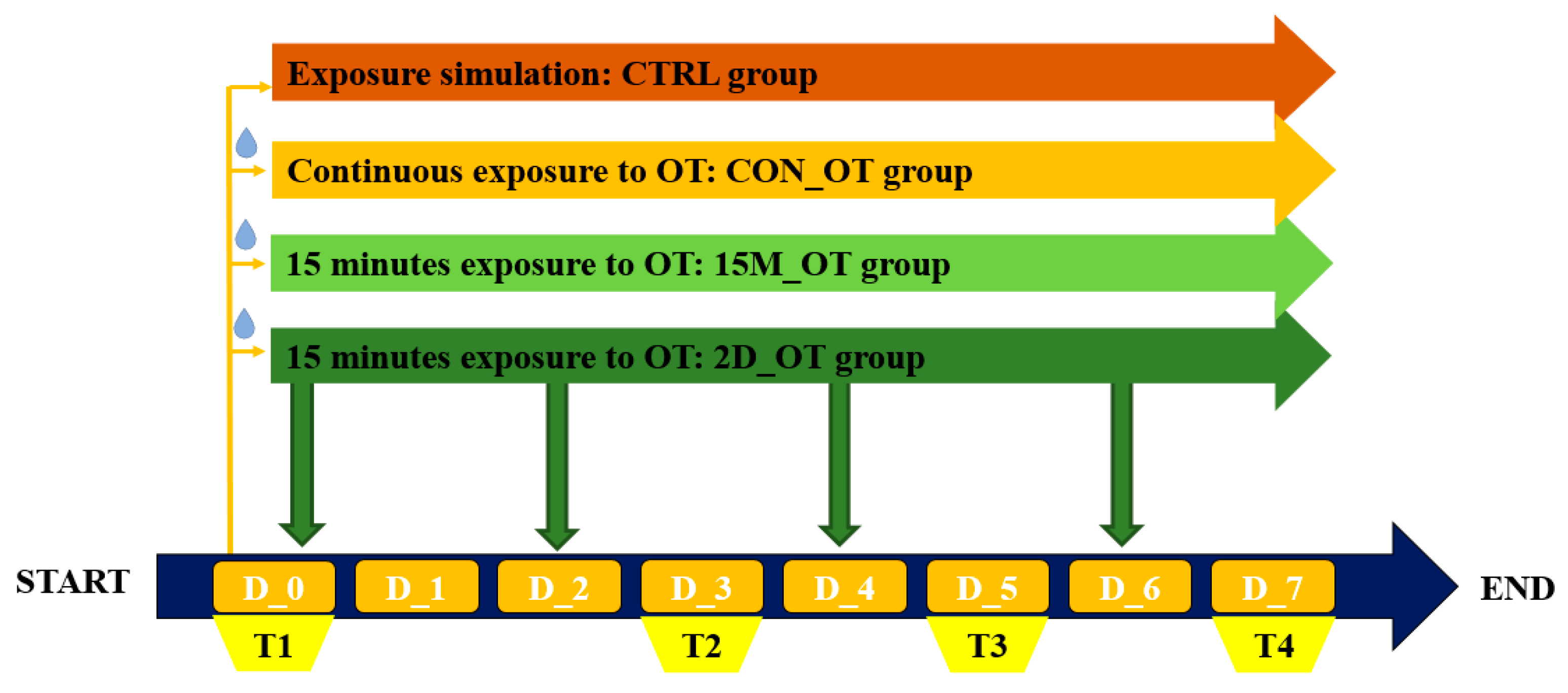Brainsci 14 00203 g001 Brainsci 14 00203 g001