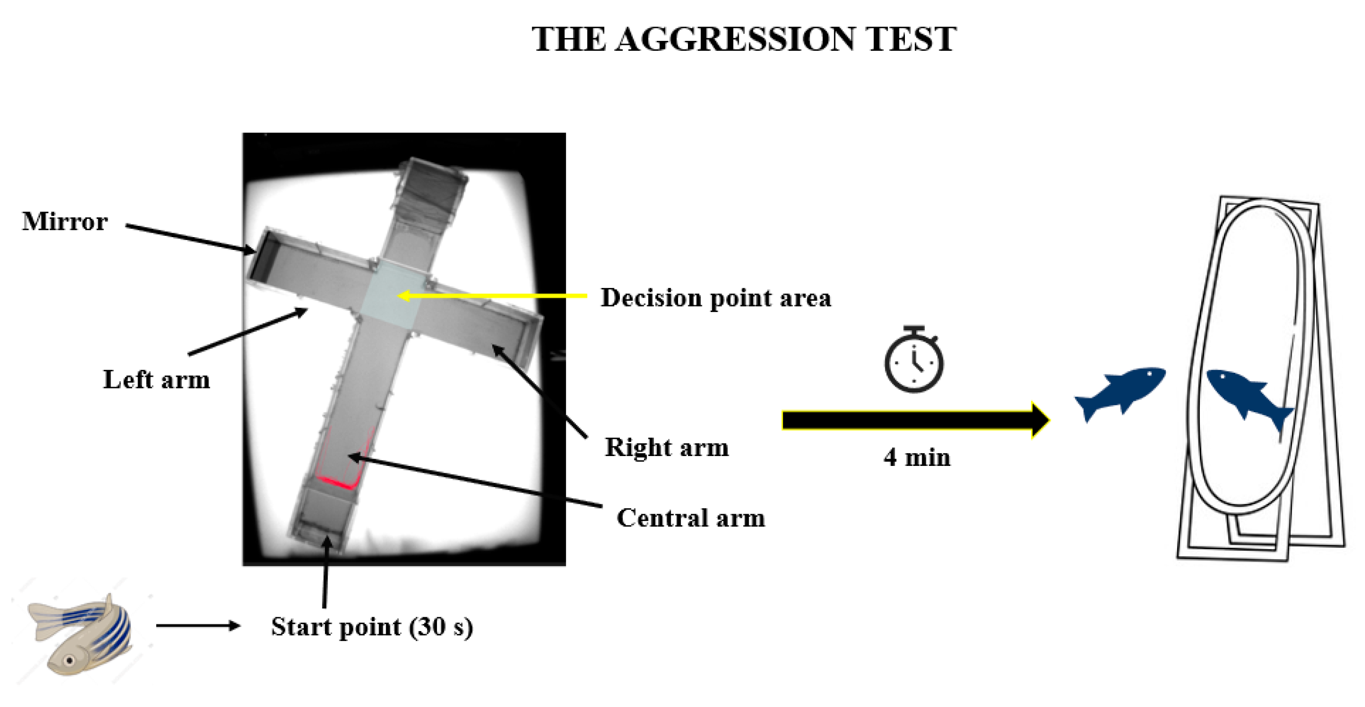 Brainsci 14 00203 g003 Brainsci 14 00203 g003