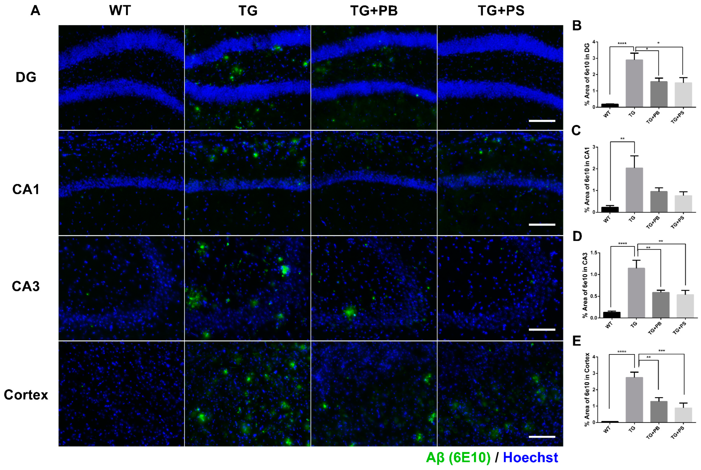 Brainsci 14 00208 g002