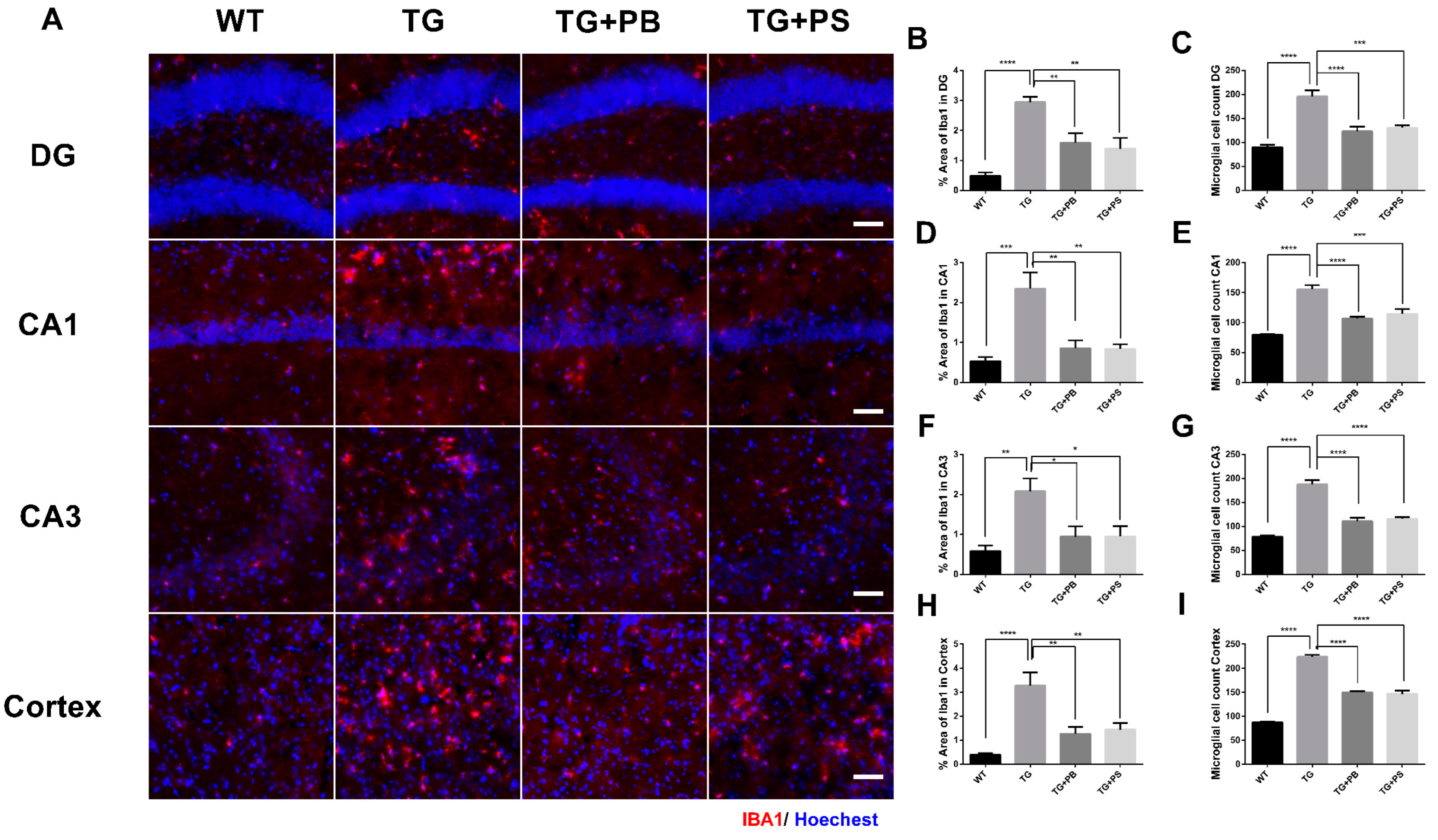 Brainsci 14 00208 g003