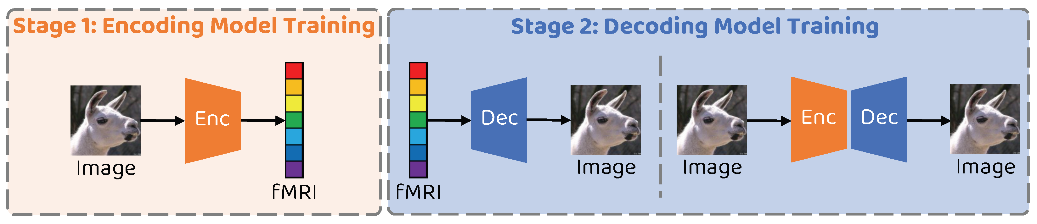 Brainsci 14 00234 g003