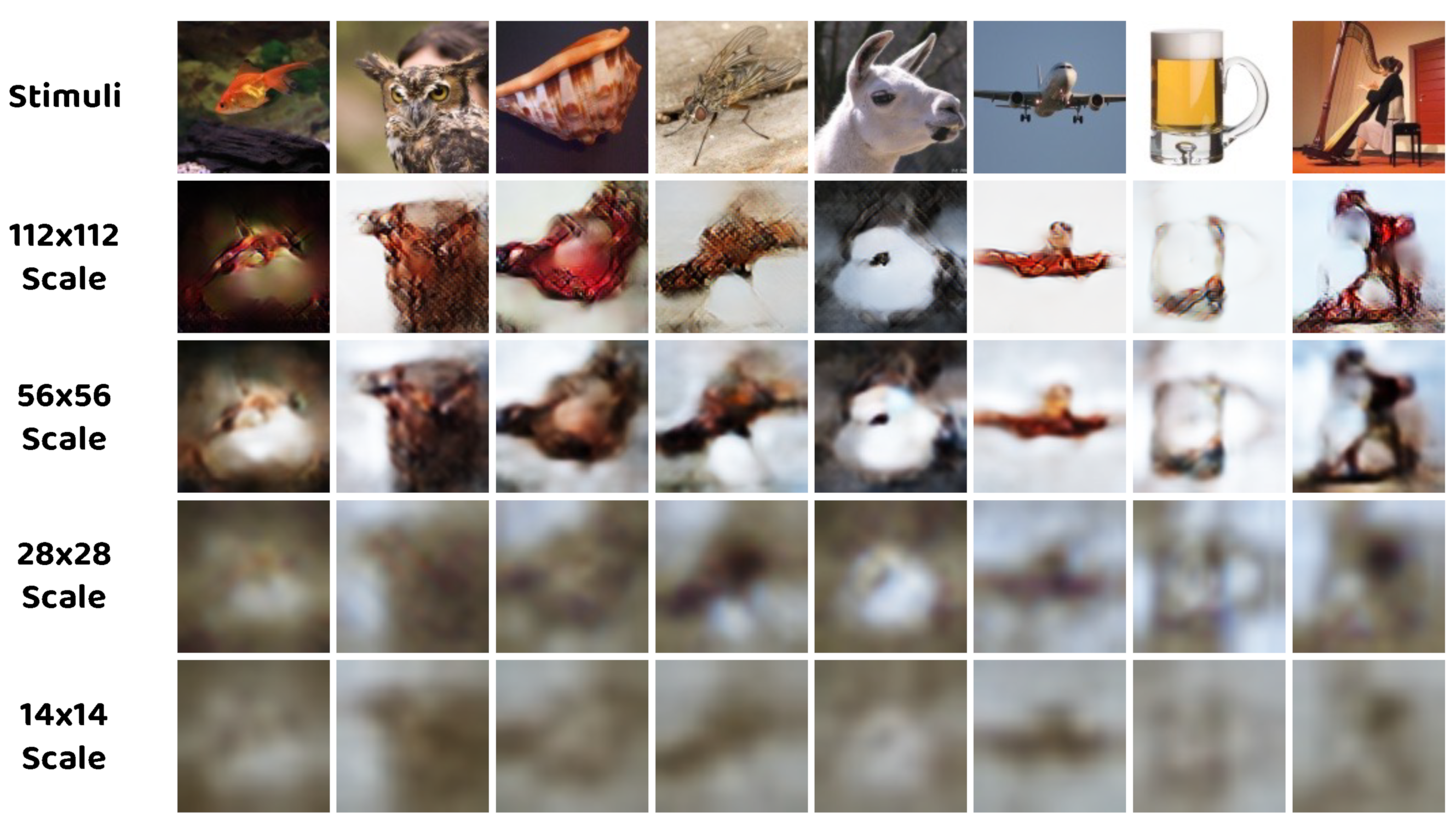 Brainsci 14 00234 g007