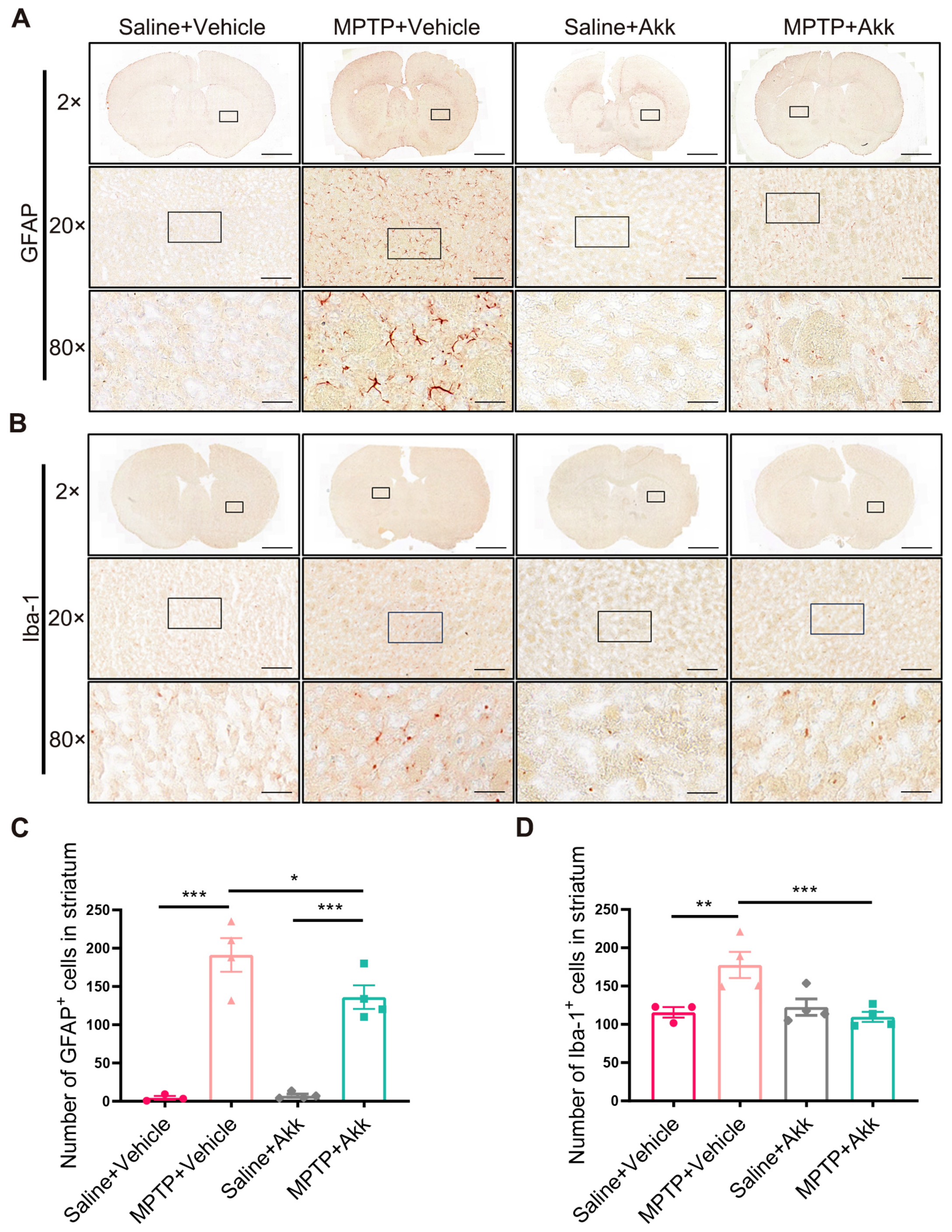 Brainsci 14 00238 g003