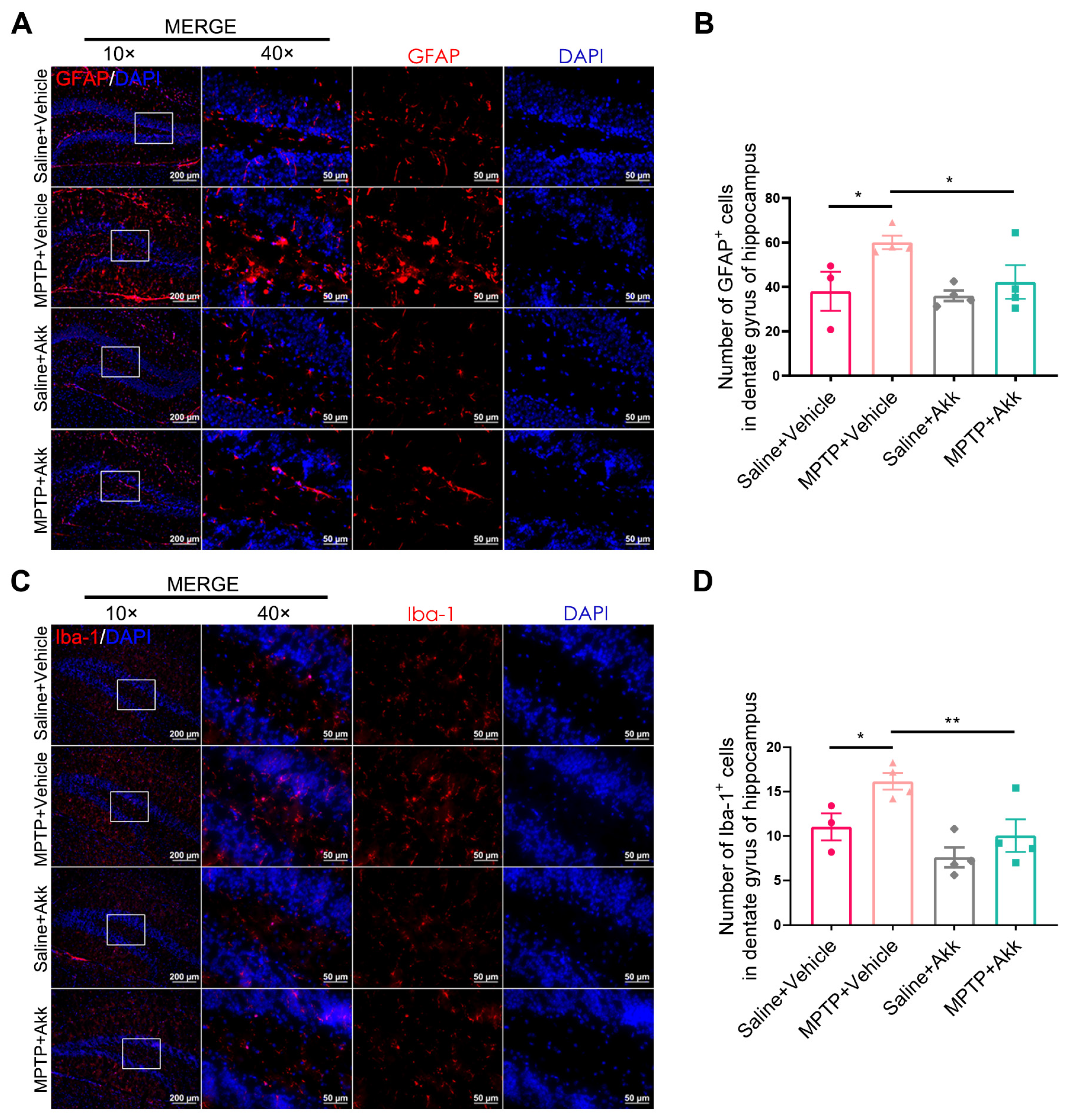Brainsci 14 00238 g004