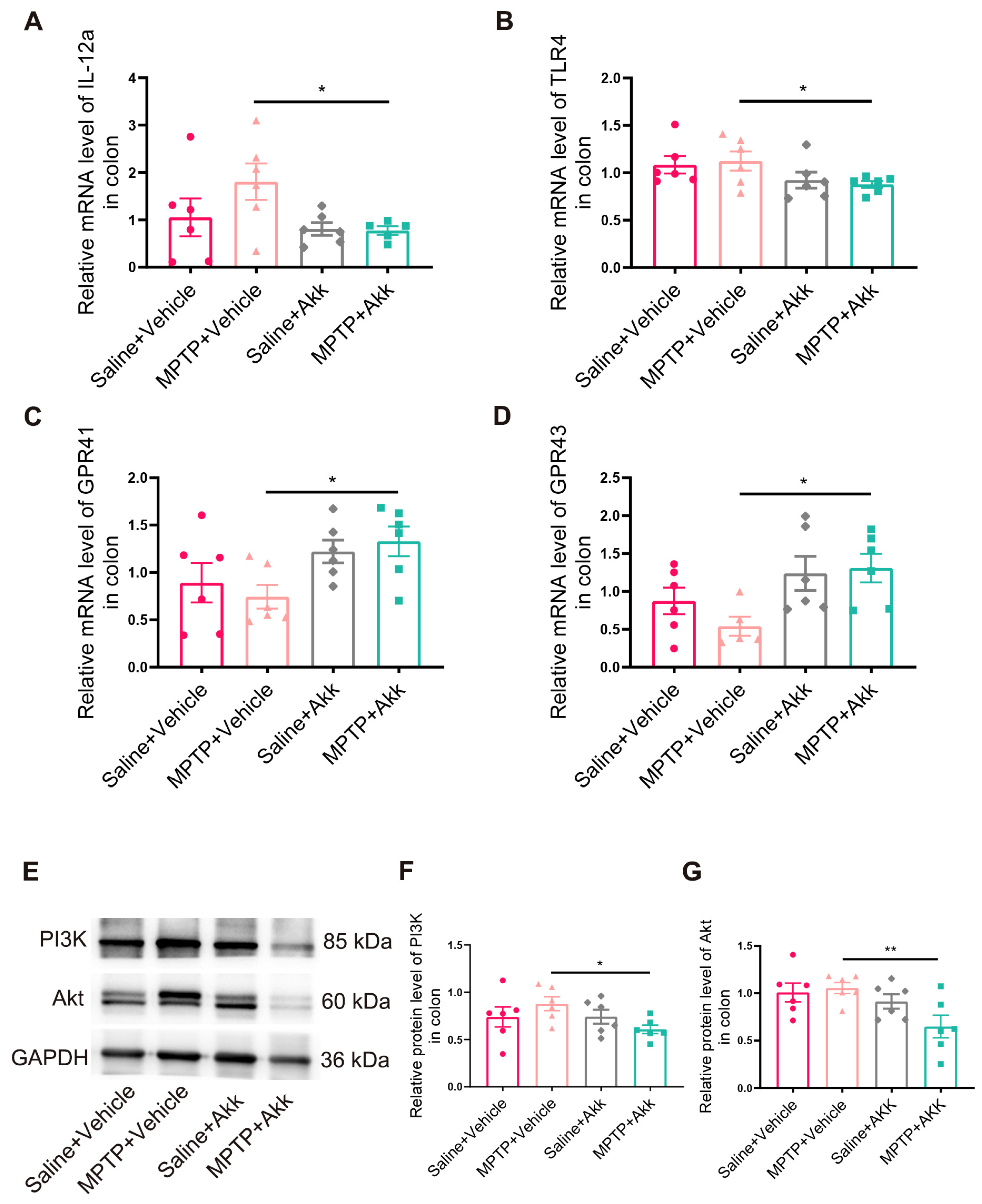 Brainsci 14 00238 g007