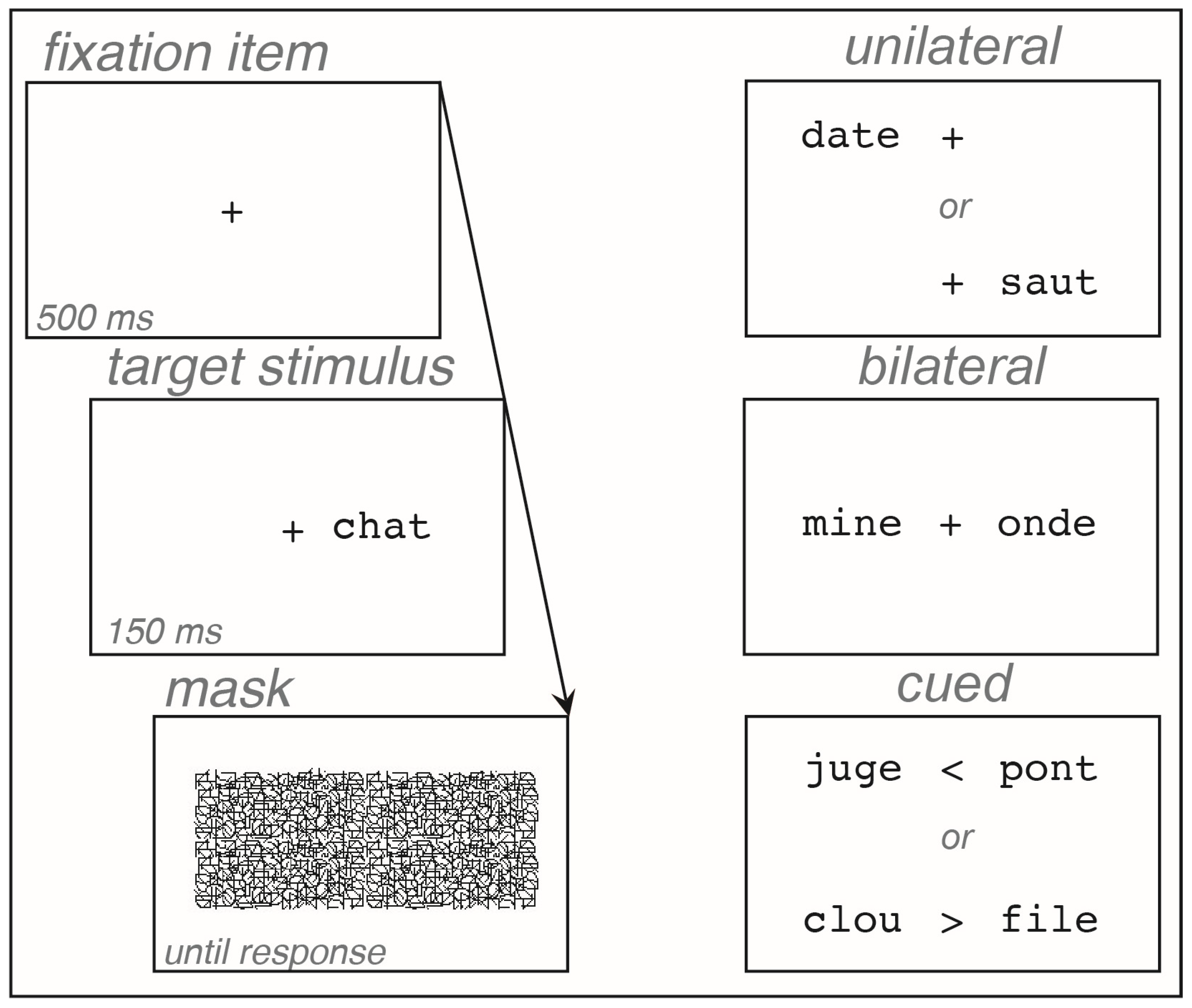 Brainsci 14 00252 g001