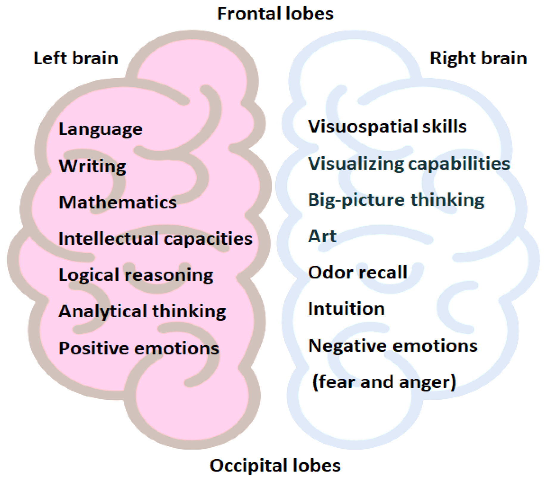 Brainsci 14 00261 g001