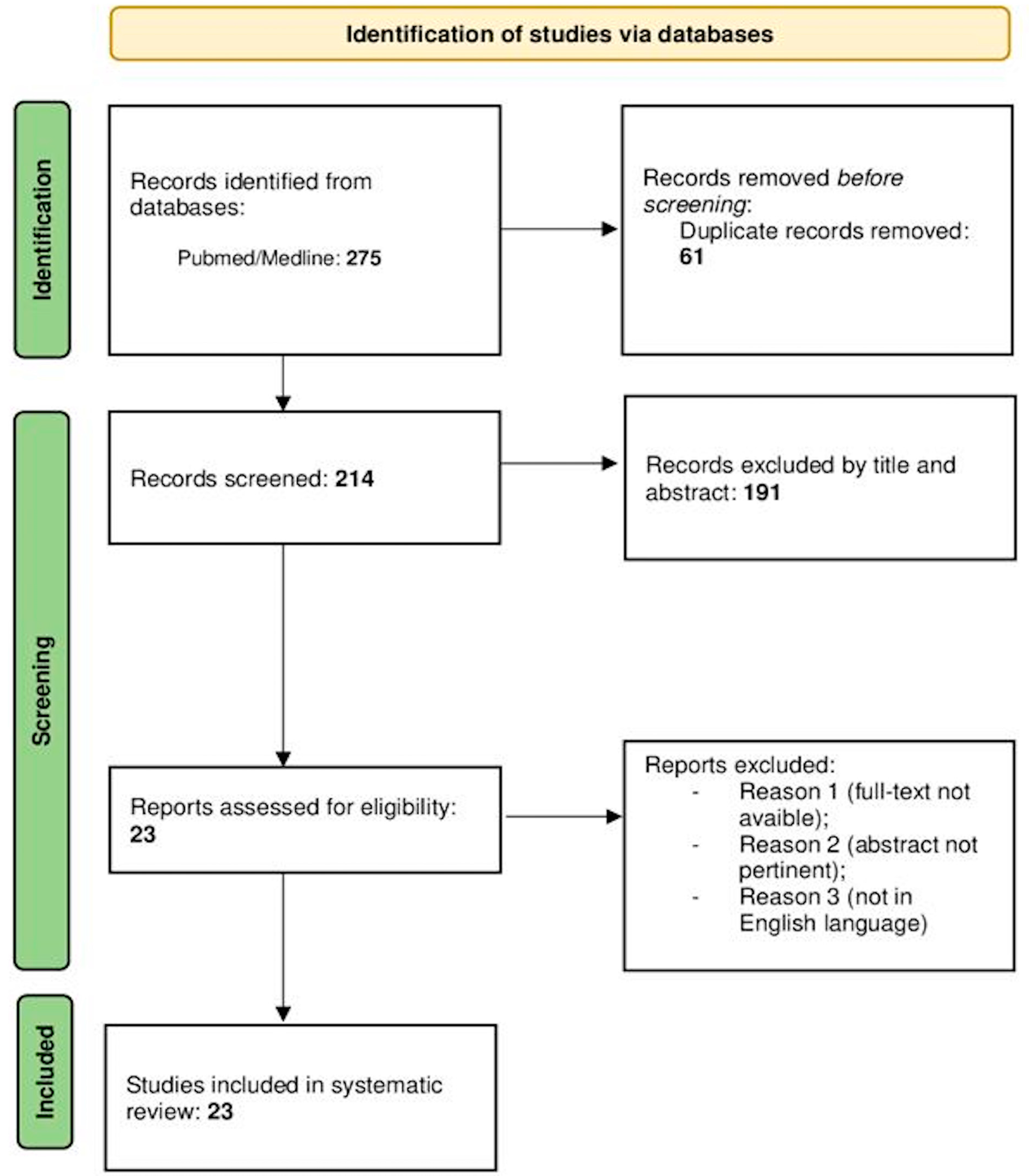 Brainsci 14 00286 g001 Brainsci 14 00286 g001