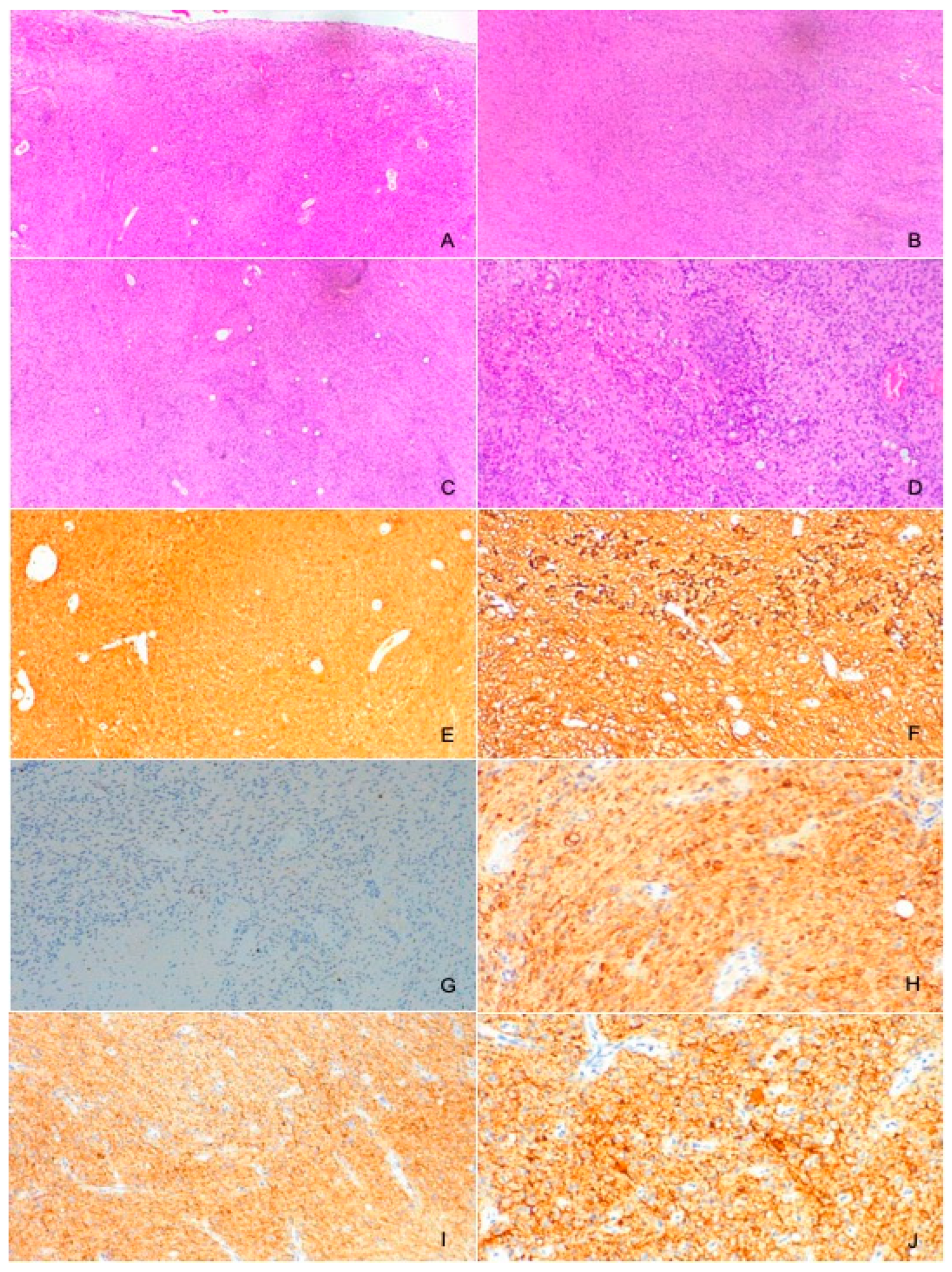 Brainsci 14 00286 g006 Brainsci 14 00286 g006