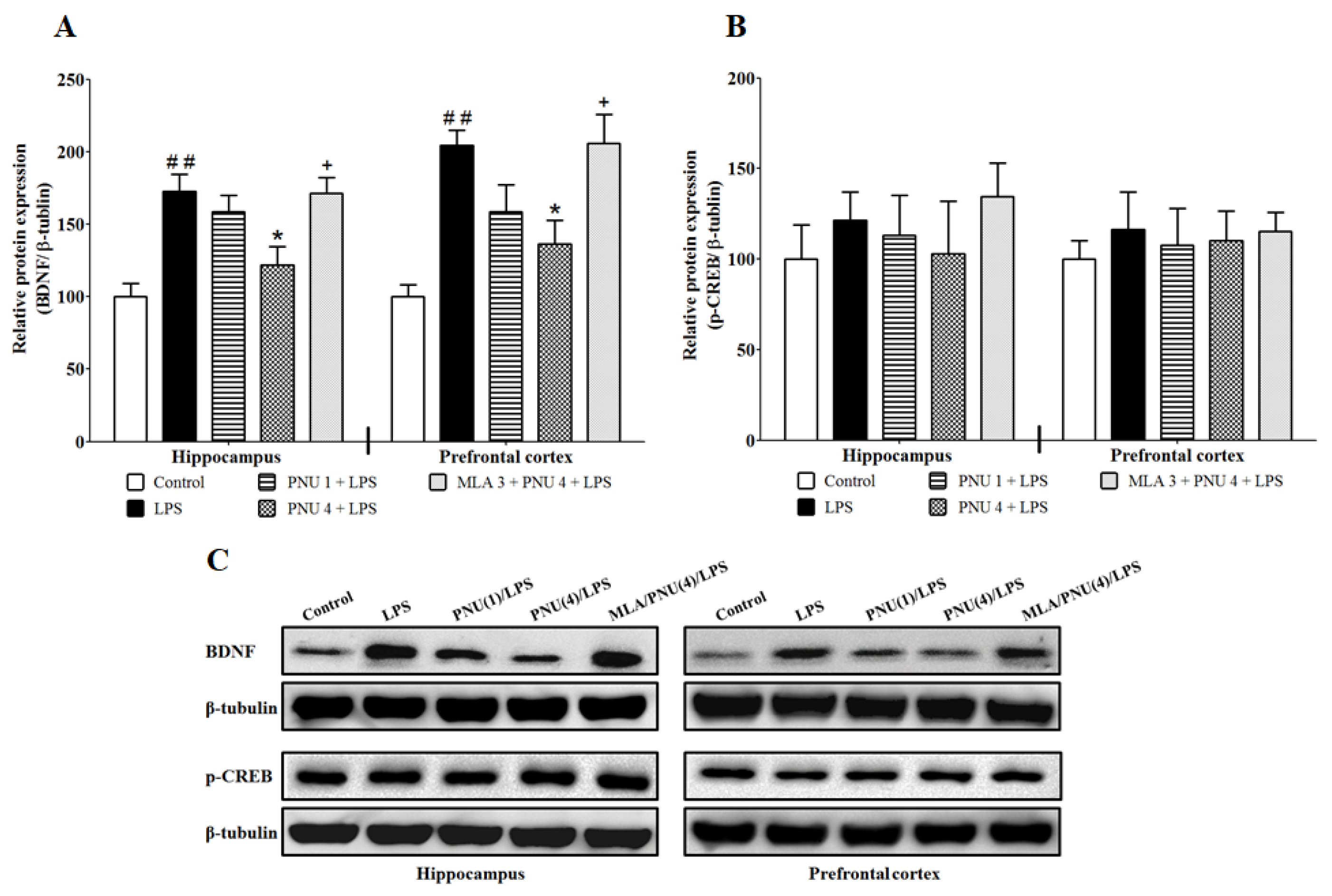 Brainsci 14 00290 g001