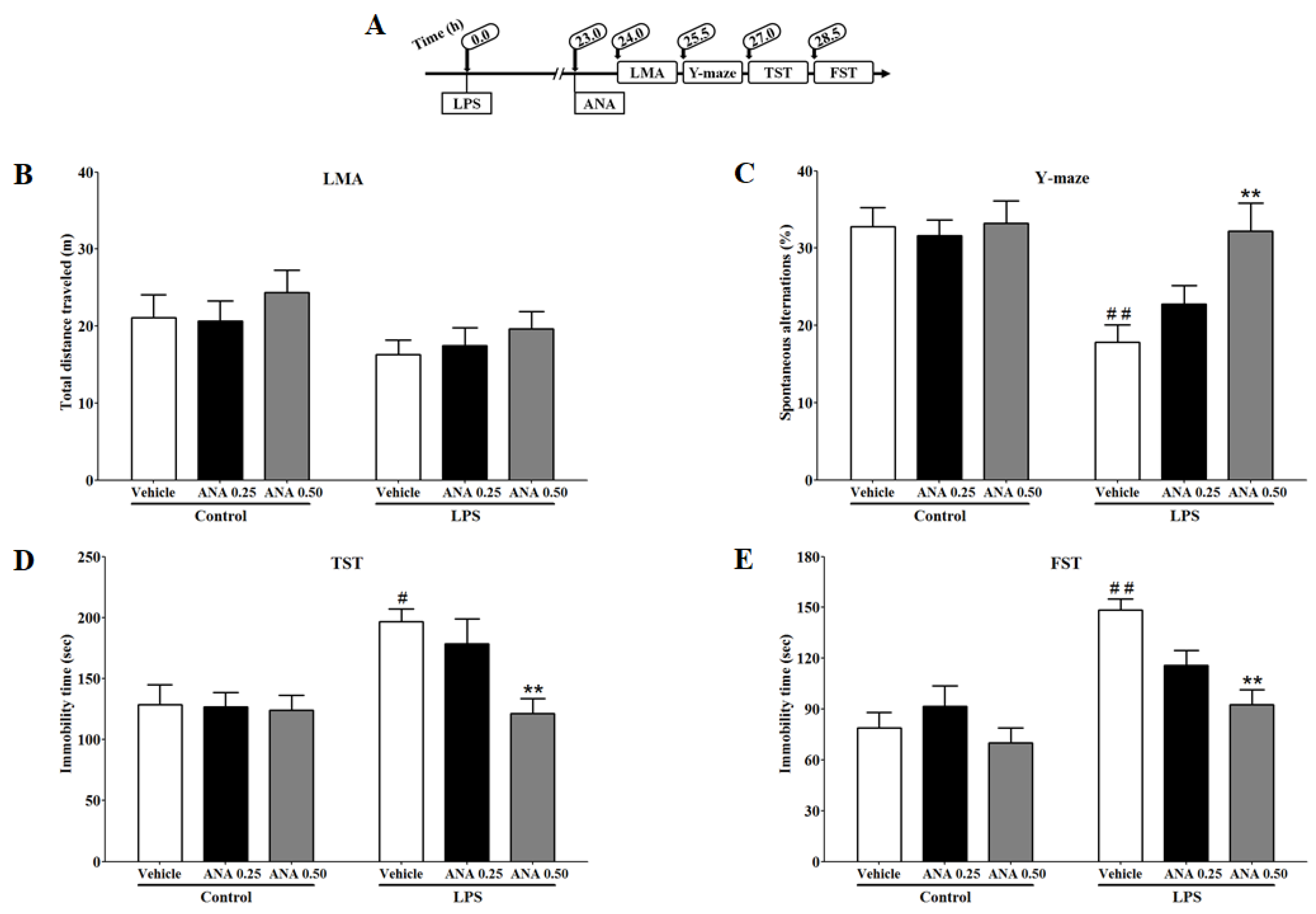 Brainsci 14 00290 g004