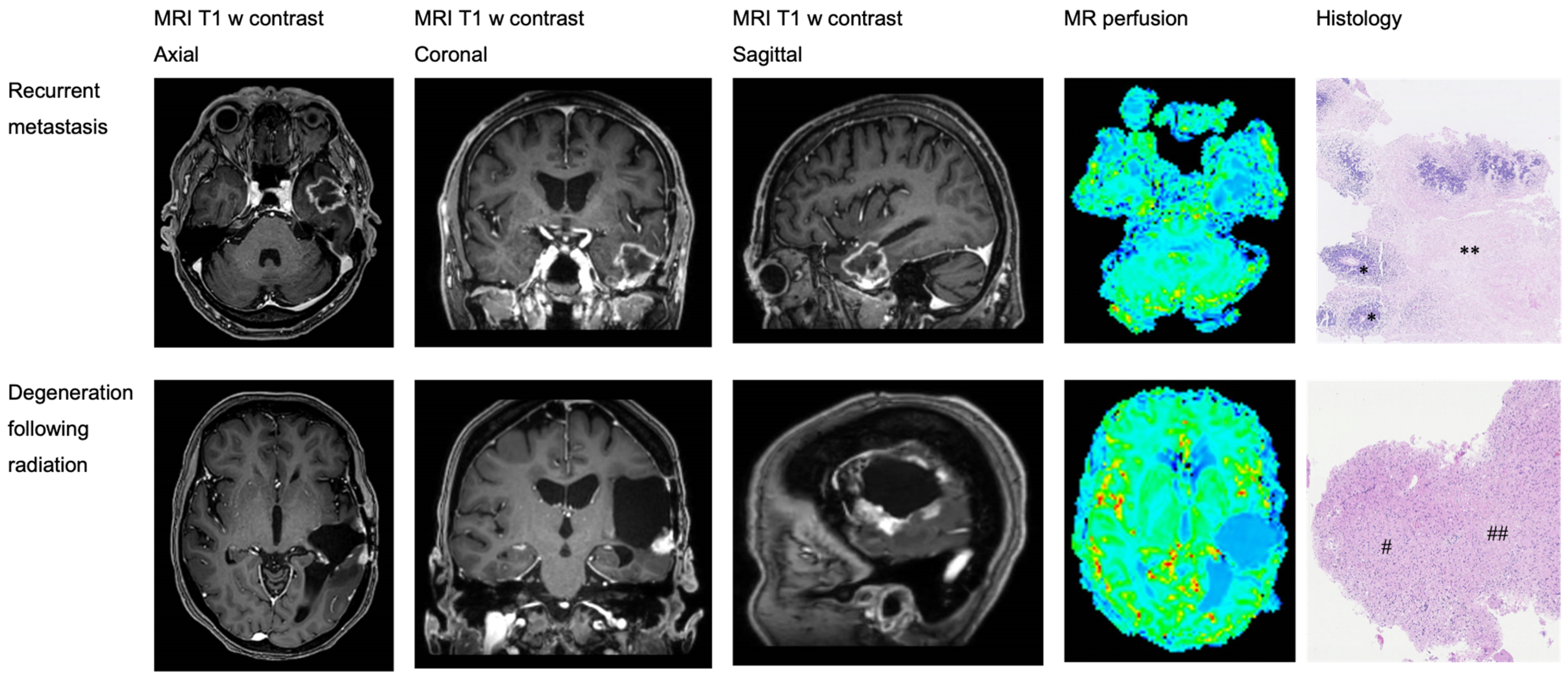 Brainsci 14 00321 g002 Brainsci 14 00321 g002