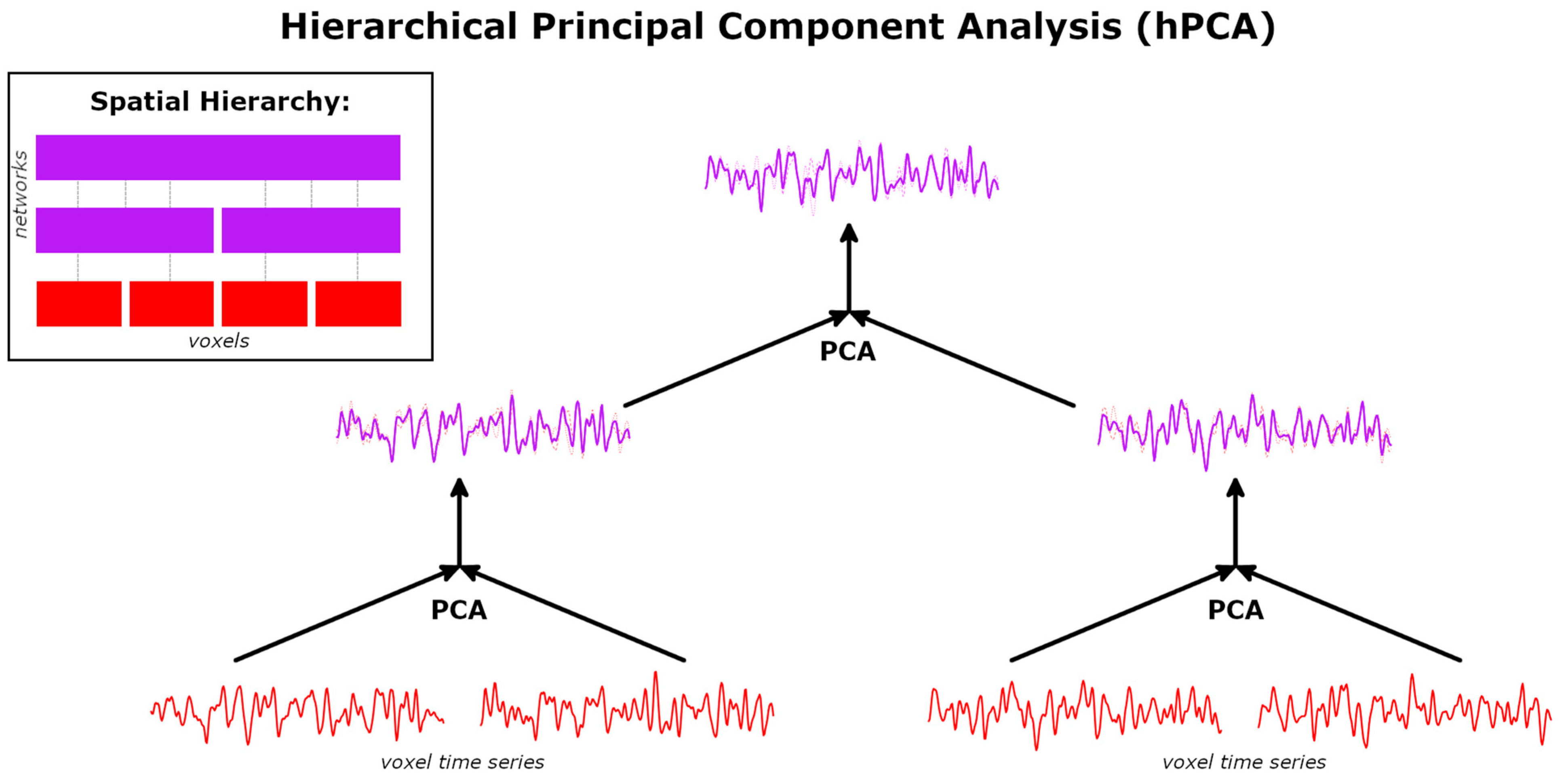 Brainsci 14 00325 g001 Brainsci 14 00325 g001