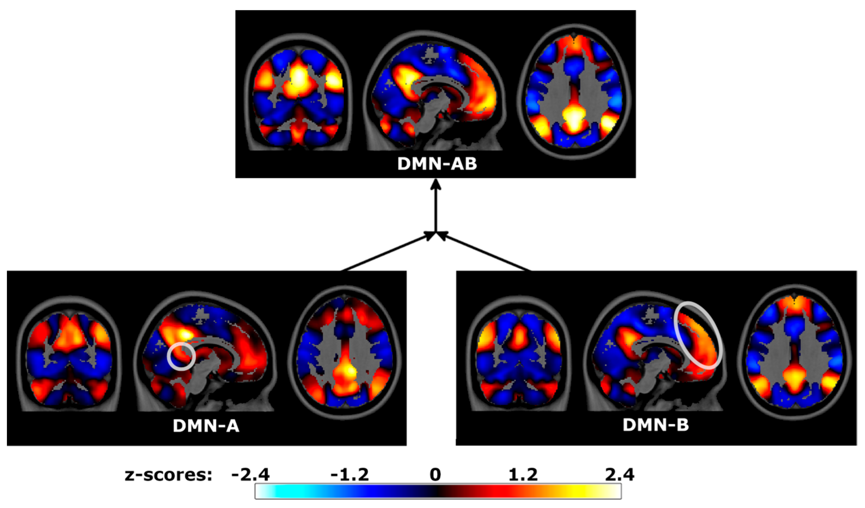 Brainsci 14 00325 g007 Brainsci 14 00325 g007