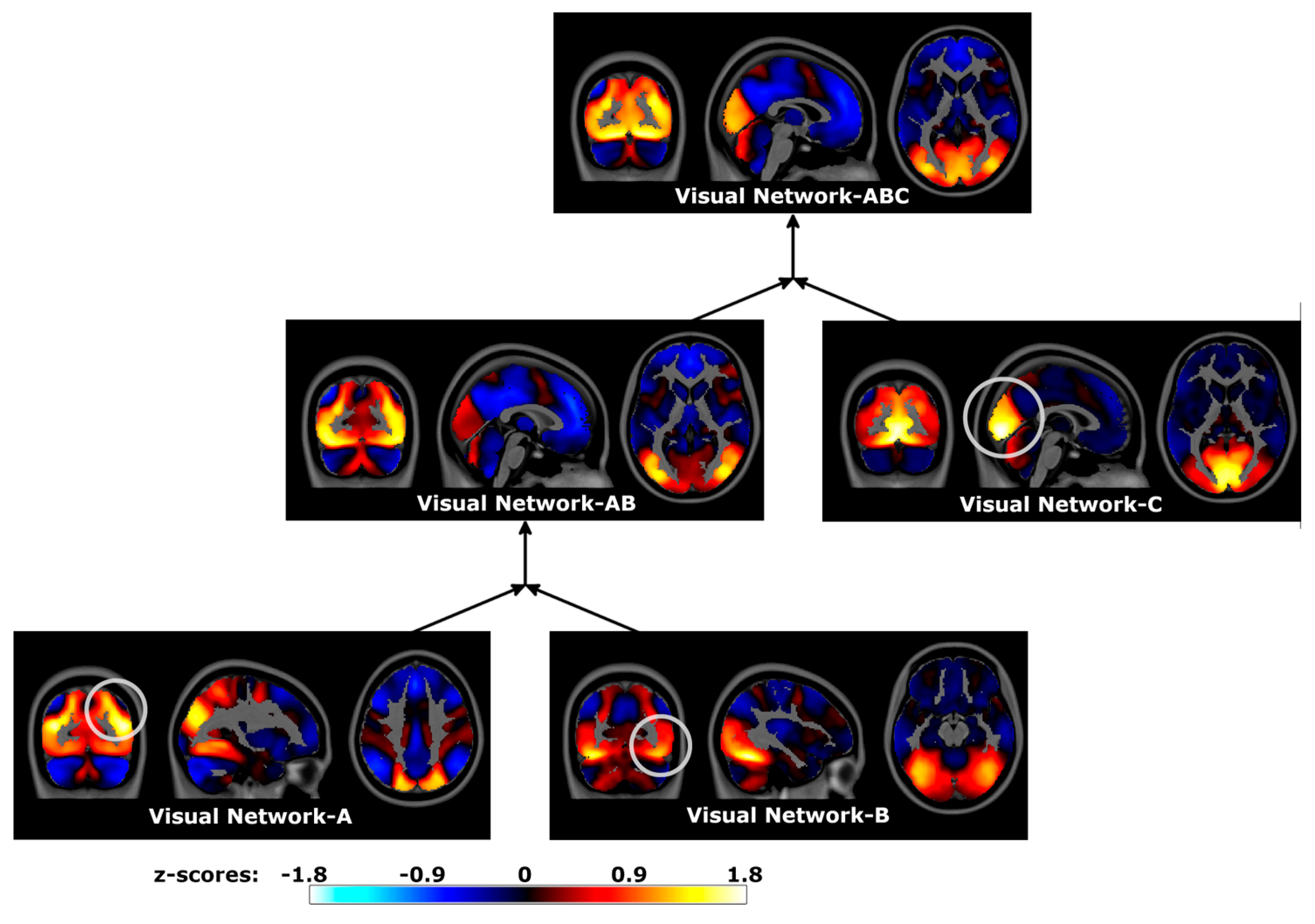 Brainsci 14 00325 g008 Brainsci 14 00325 g008