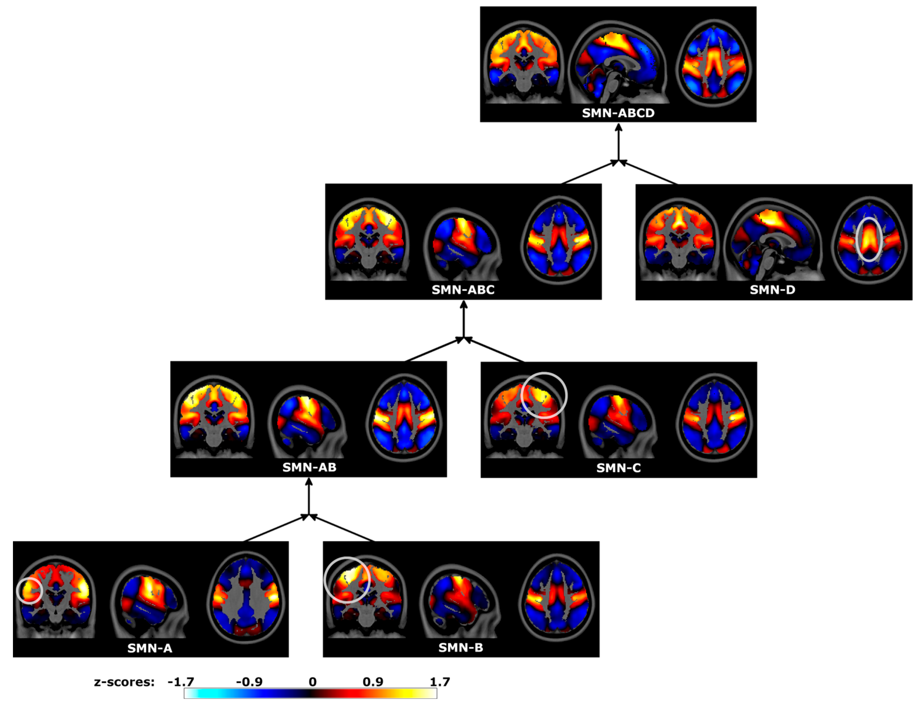 Brainsci 14 00325 g009 Brainsci 14 00325 g009