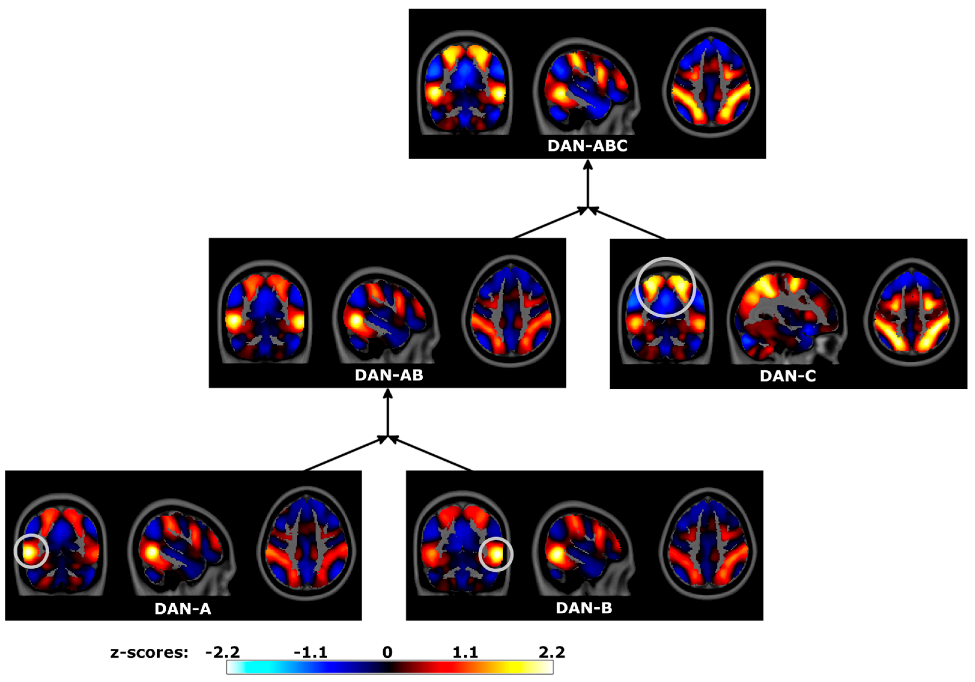 Brainsci 14 00325 g010 Brainsci 14 00325 g010