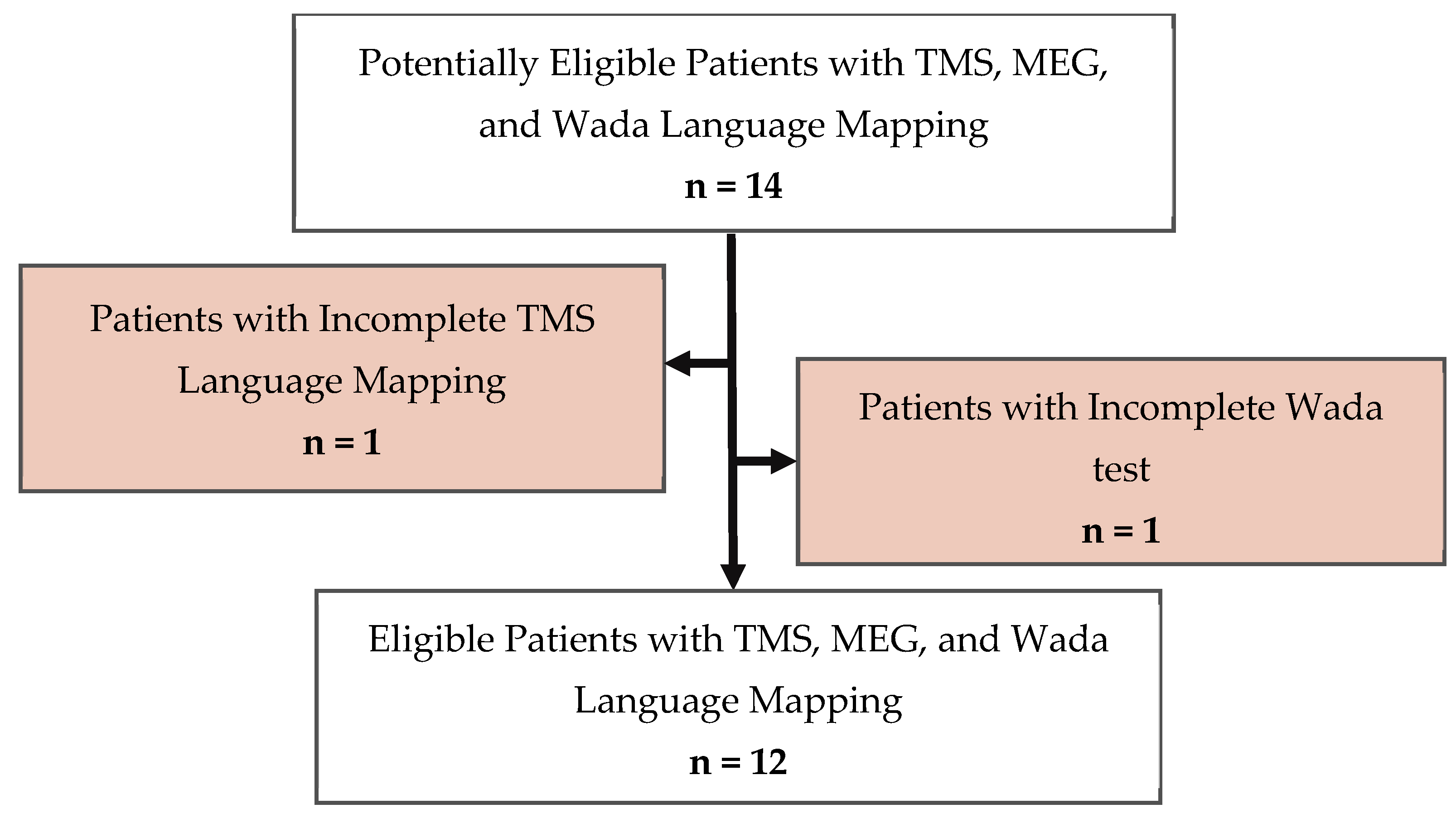 Brainsci 14 00336 g001