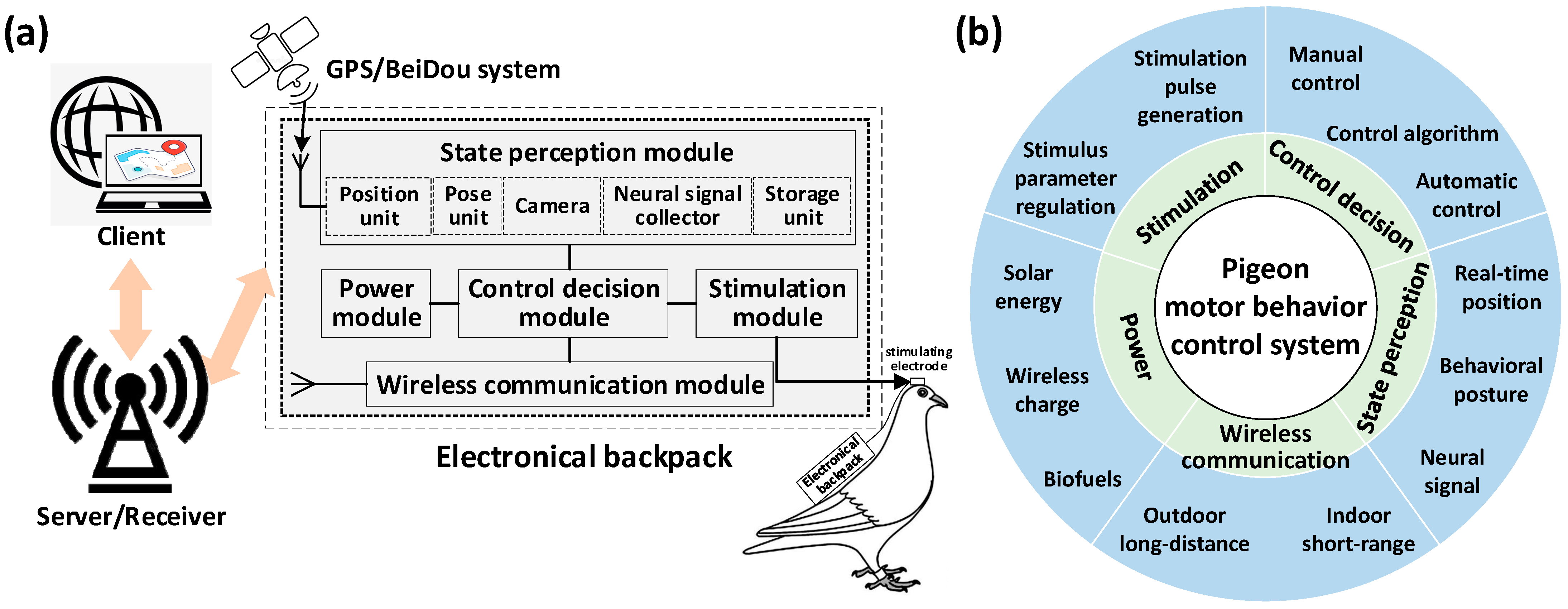 Brainsci 14 00339 g003