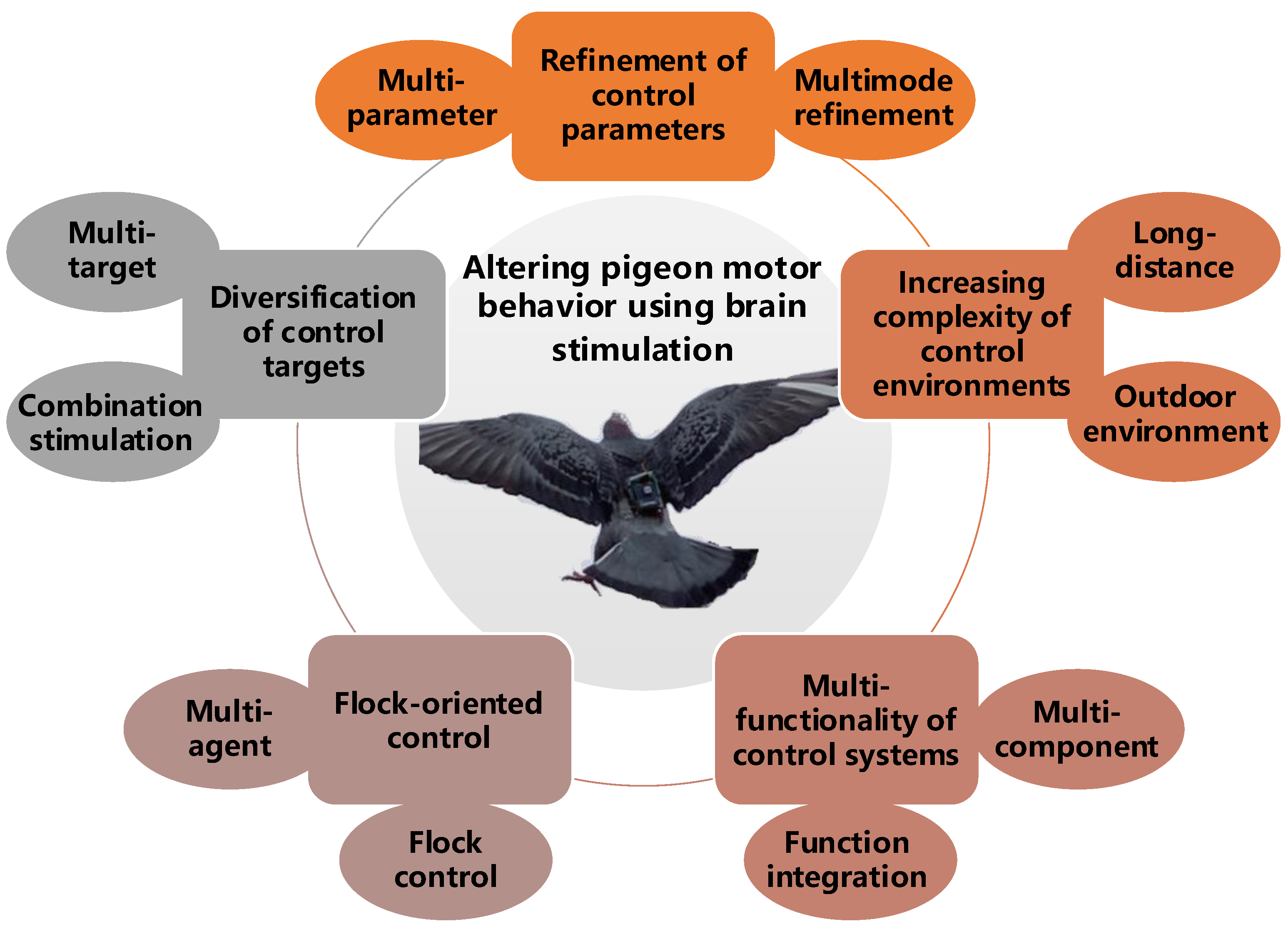 Brainsci 14 00339 g004