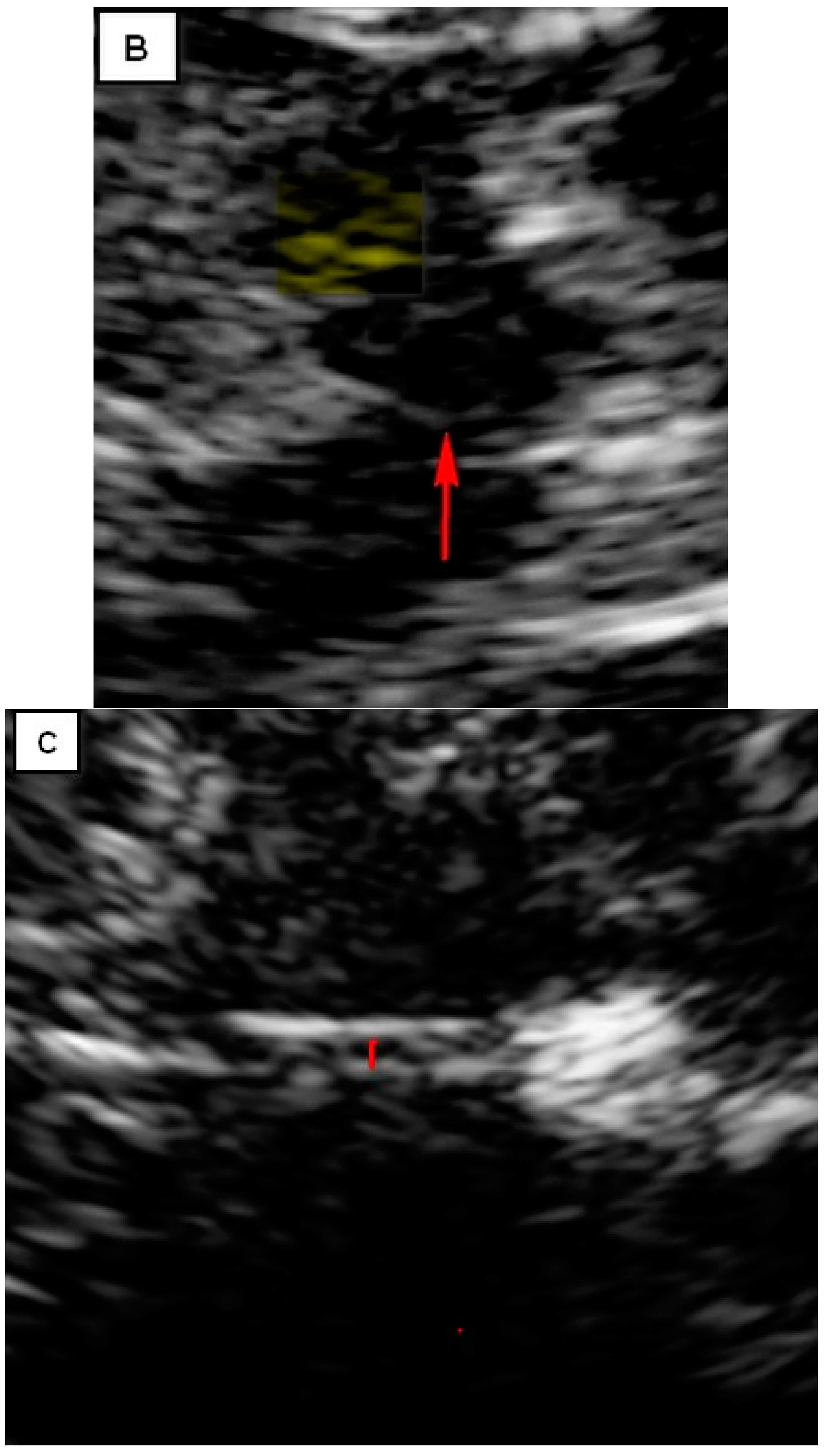 Brainsci 14 00340 g001b
