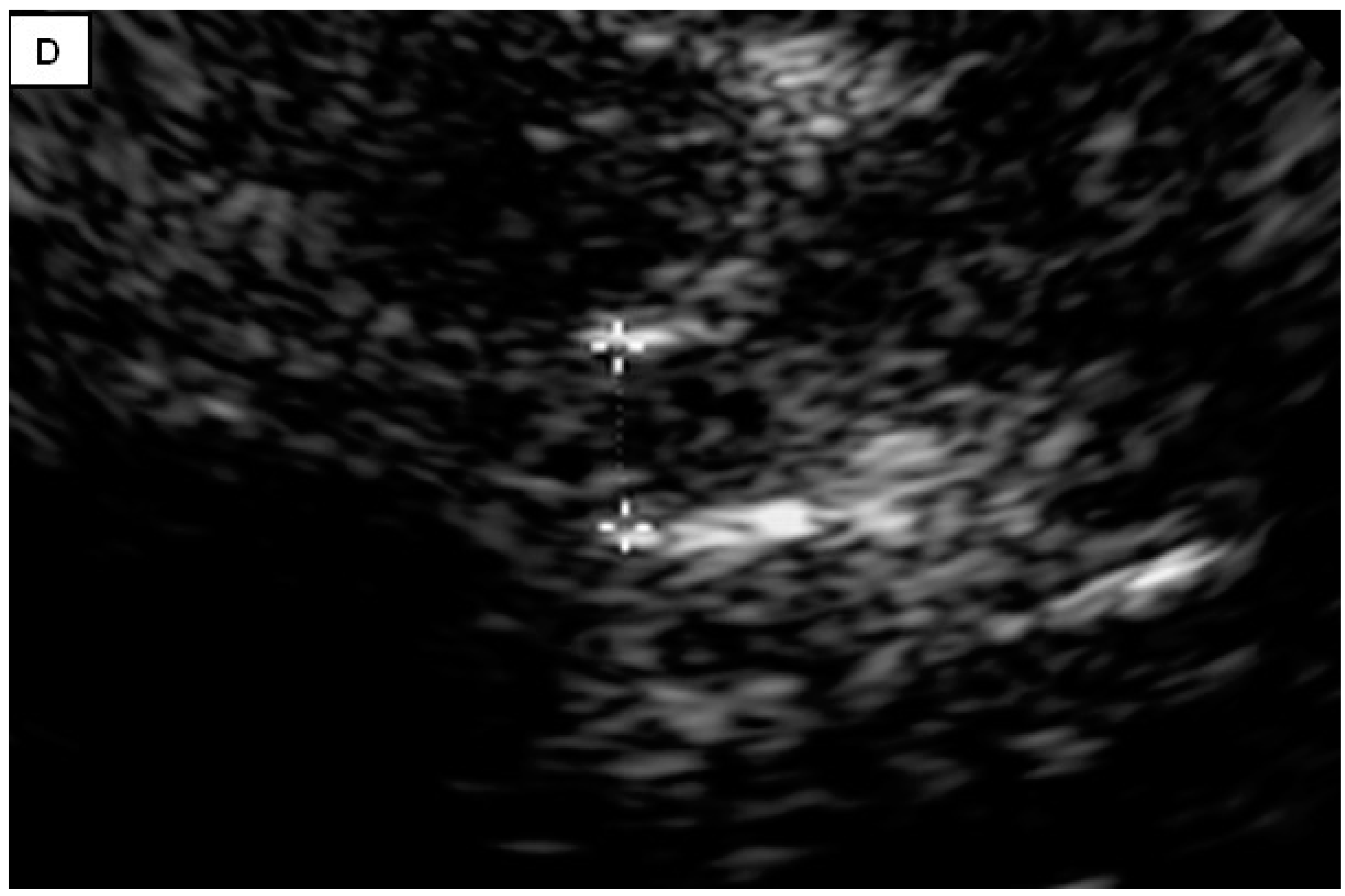 Brainsci 14 00340 g001c