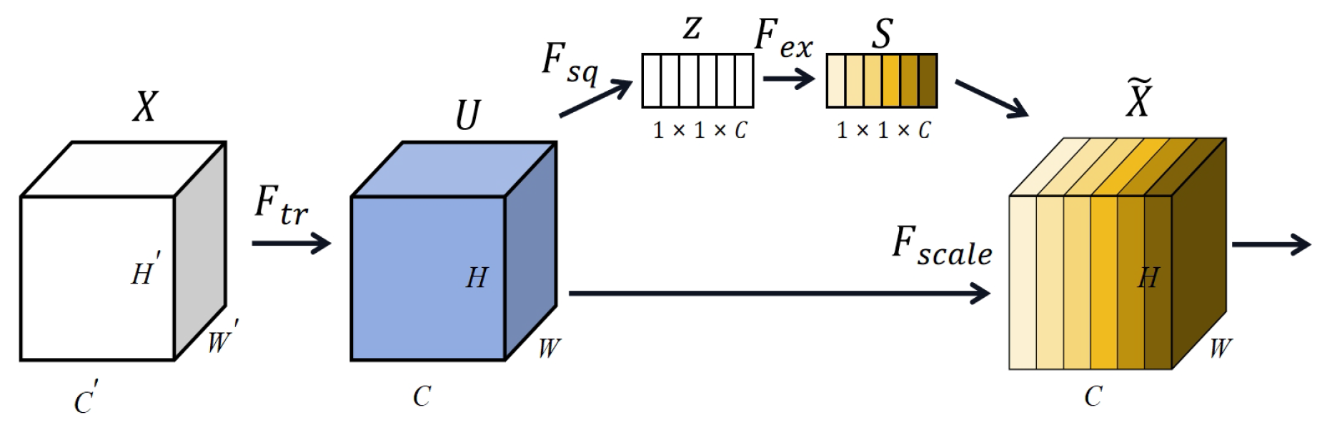 Brainsci 14 00344 g007