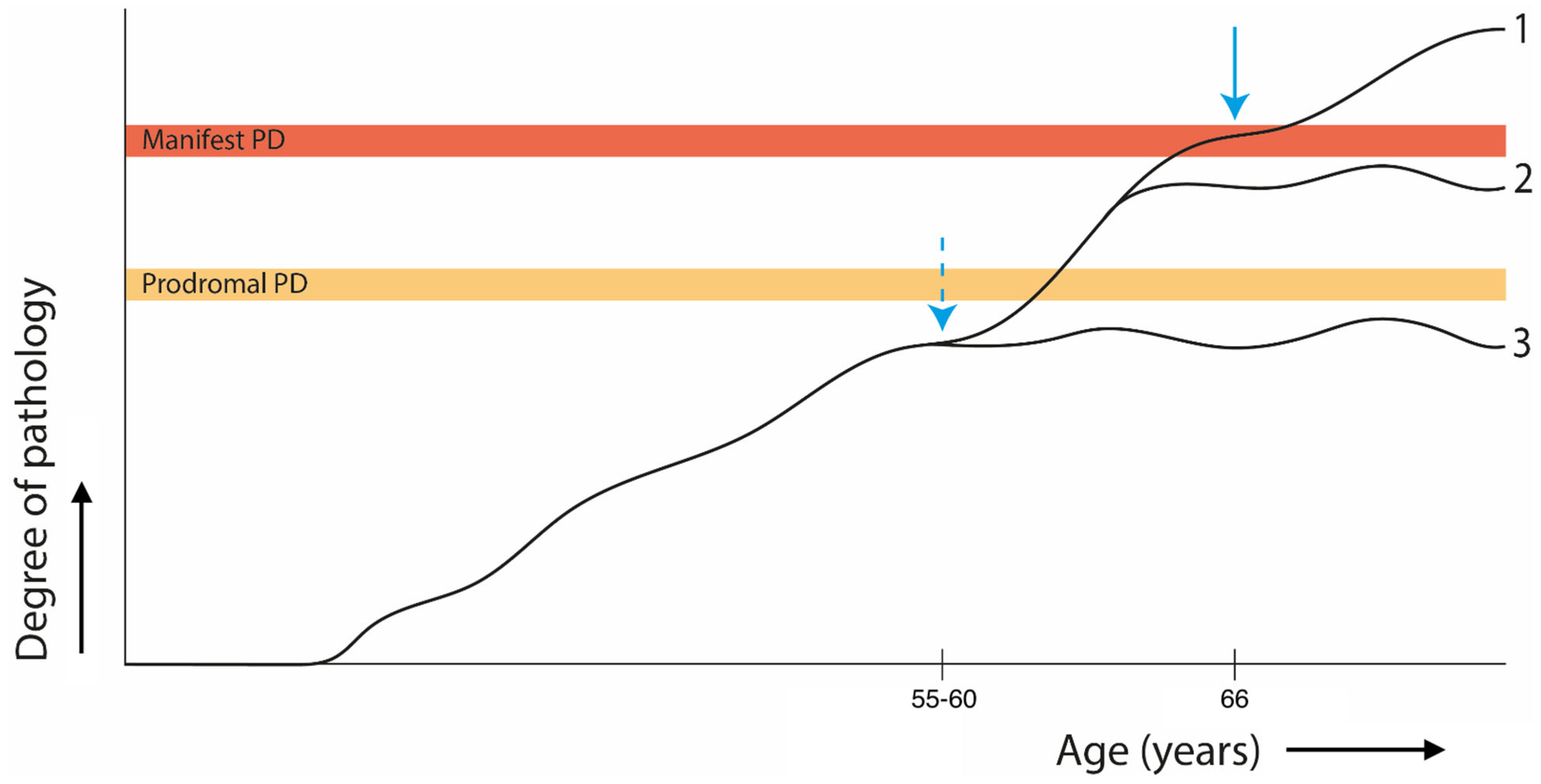 Brainsci 14 00358 g001