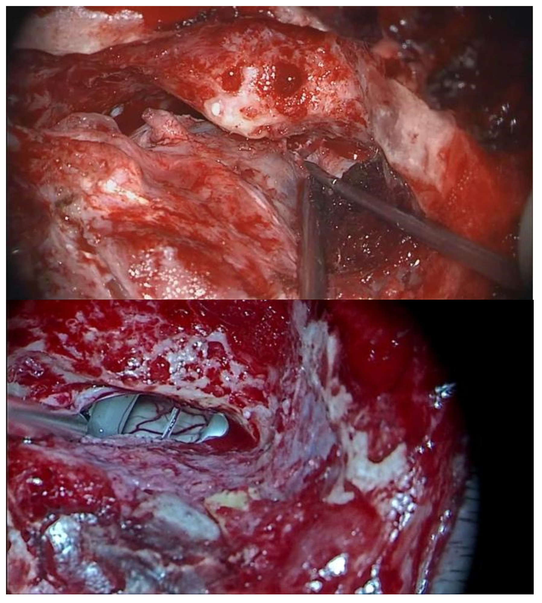 Brainsci 14 00369 g001 Brainsci 14 00369 g001