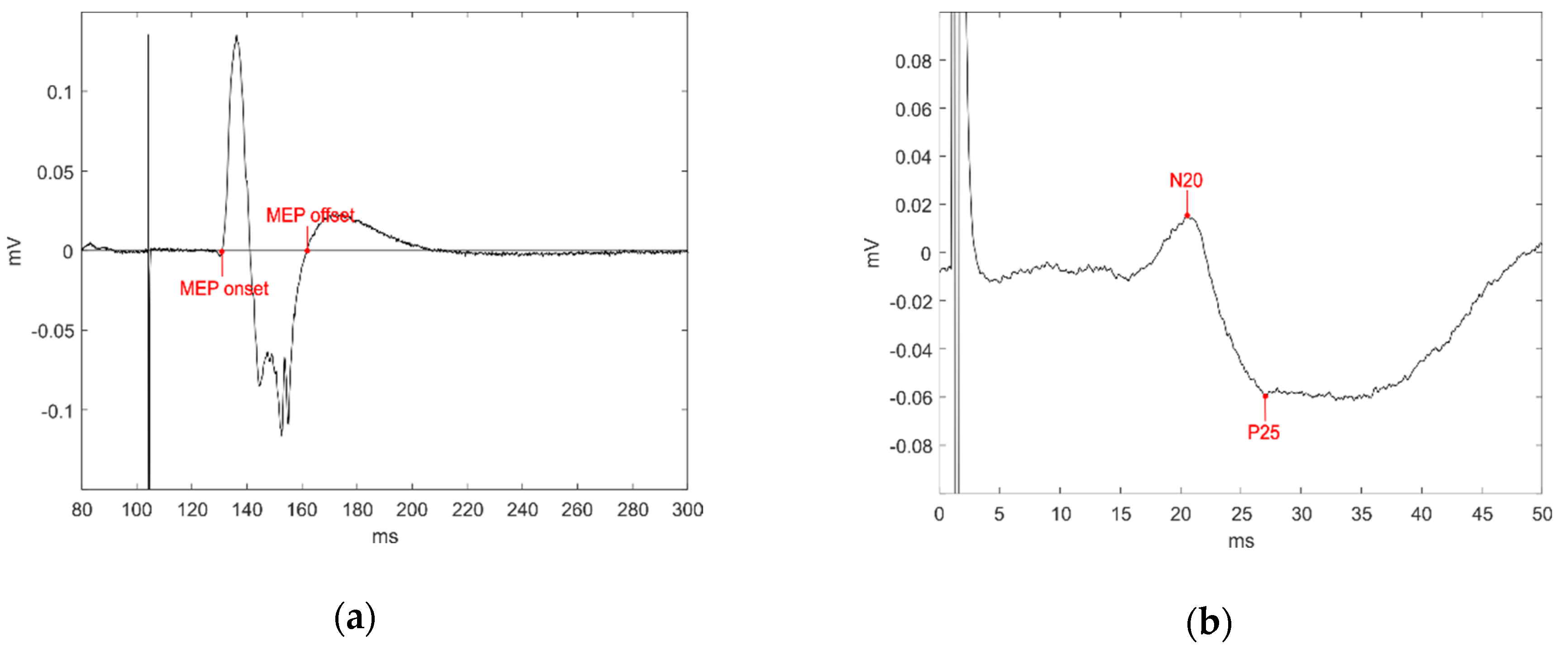 Brainsci 14 00371 g001 Brainsci 14 00371 g001