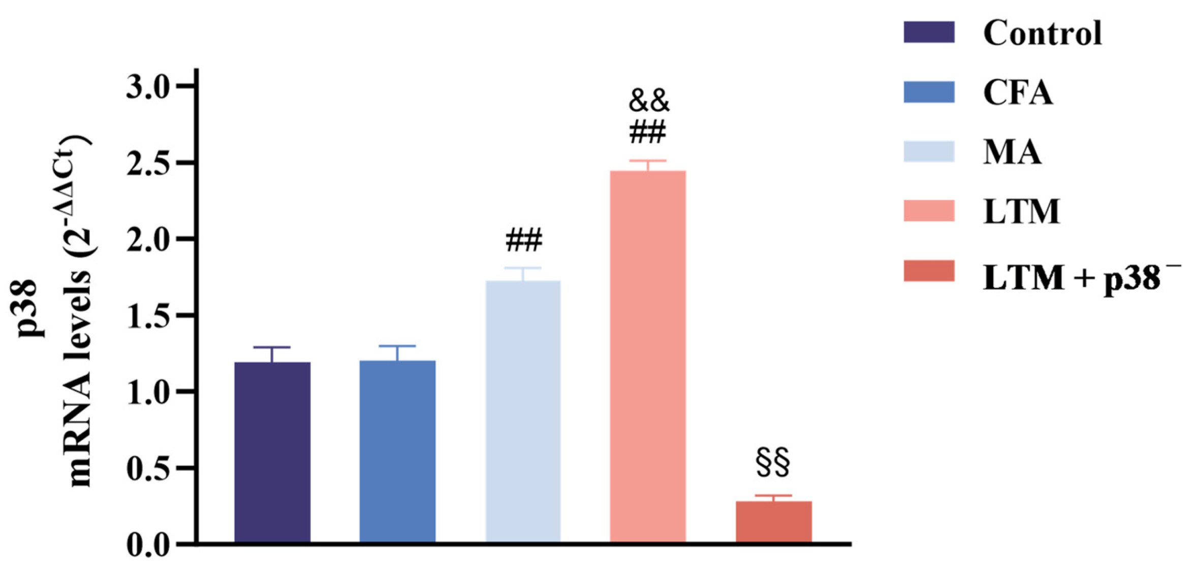 Brainsci 14 00380 g004 Brainsci 14 00380 g004