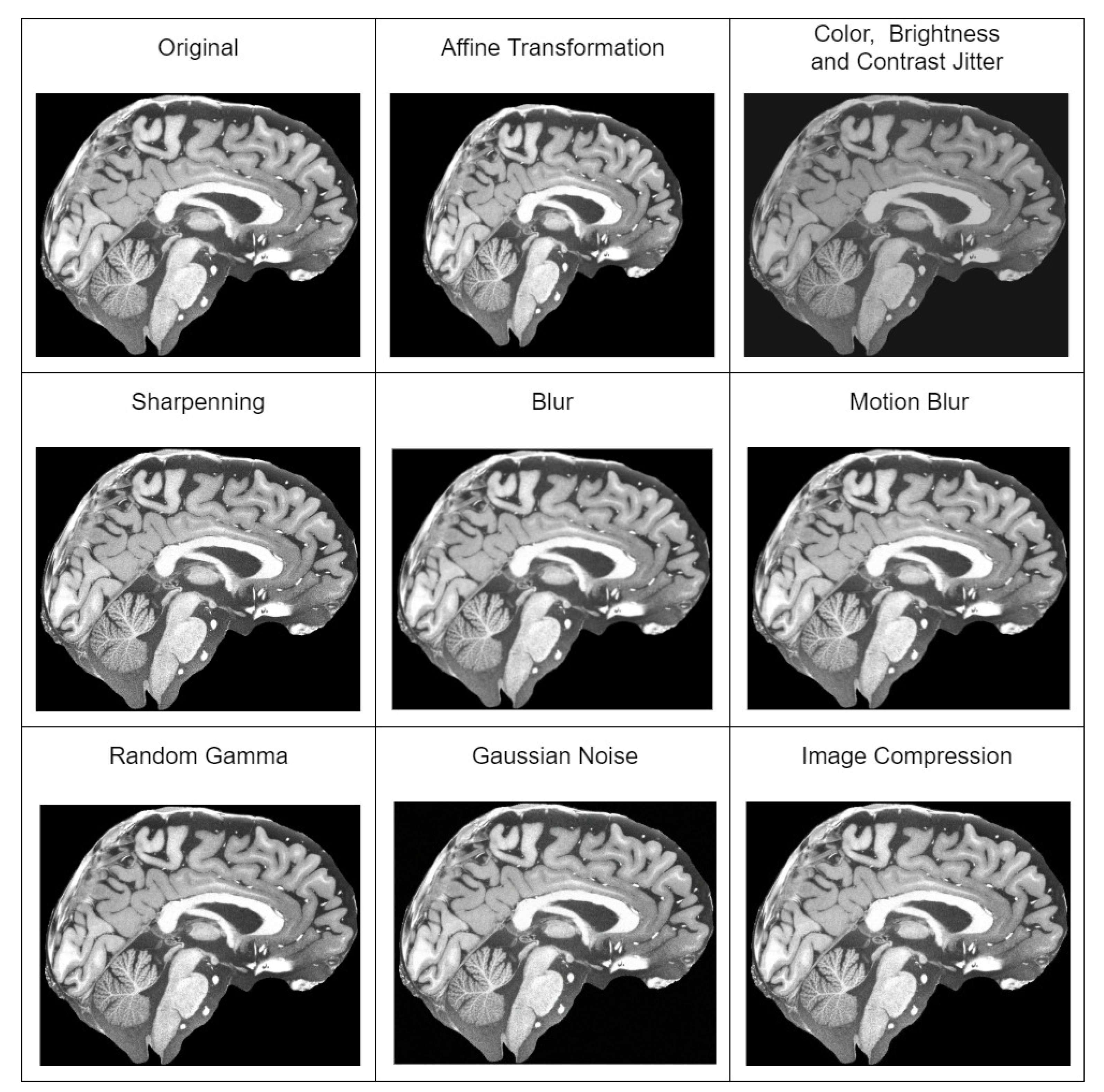 Brainsci 14 00381 g002