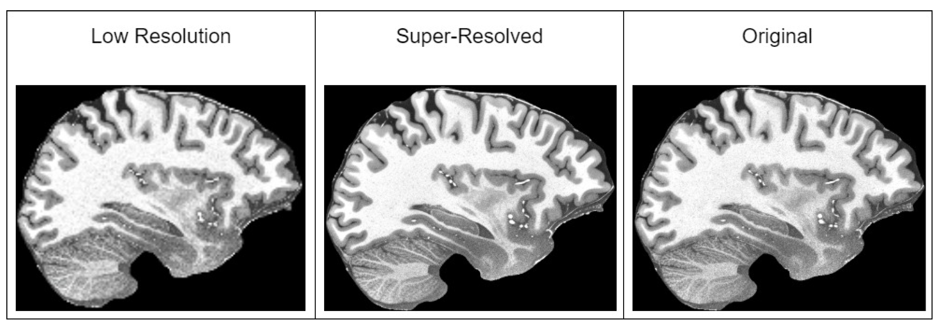 Brainsci 14 00381 g003