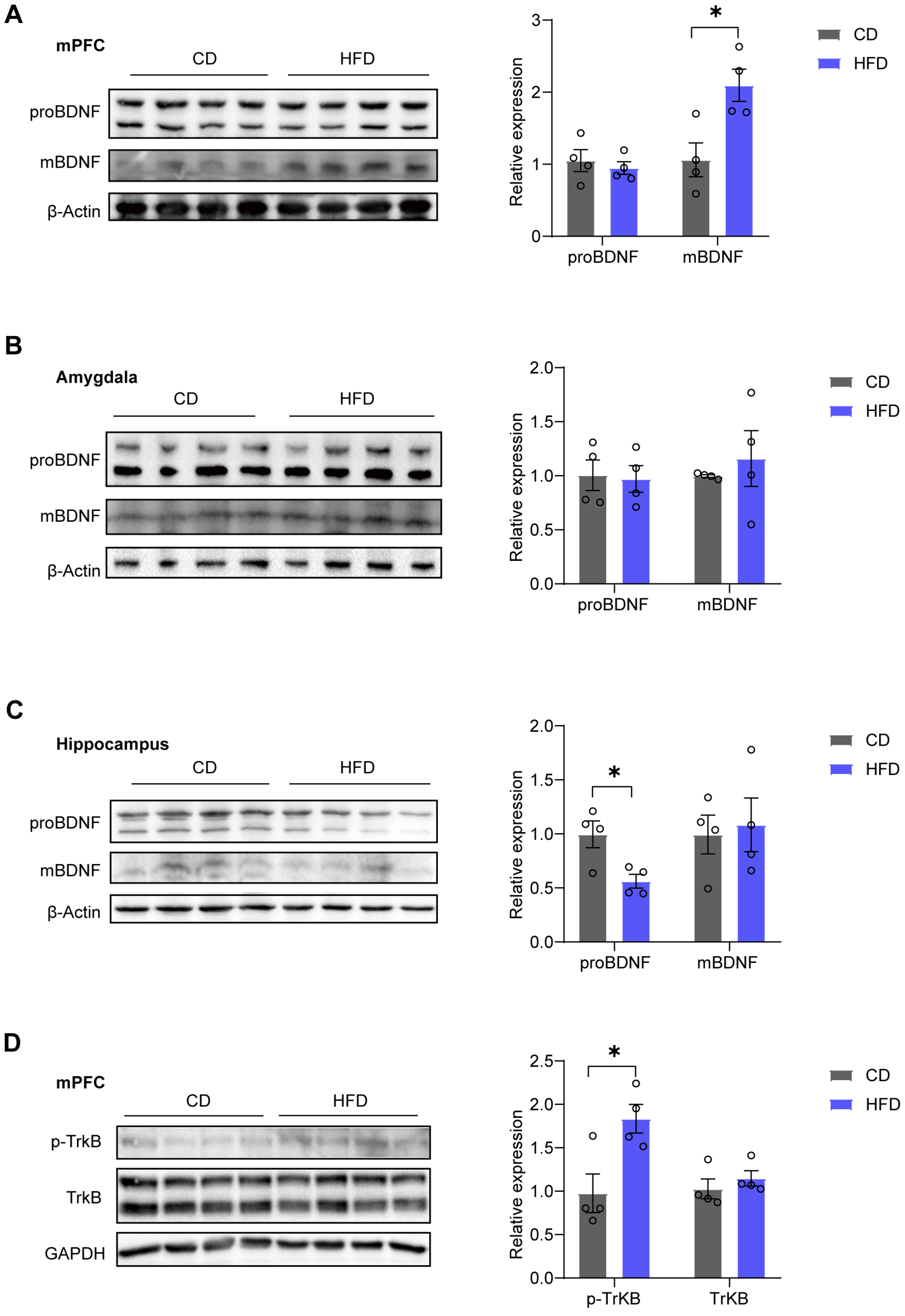 Brainsci 14 00389 g002