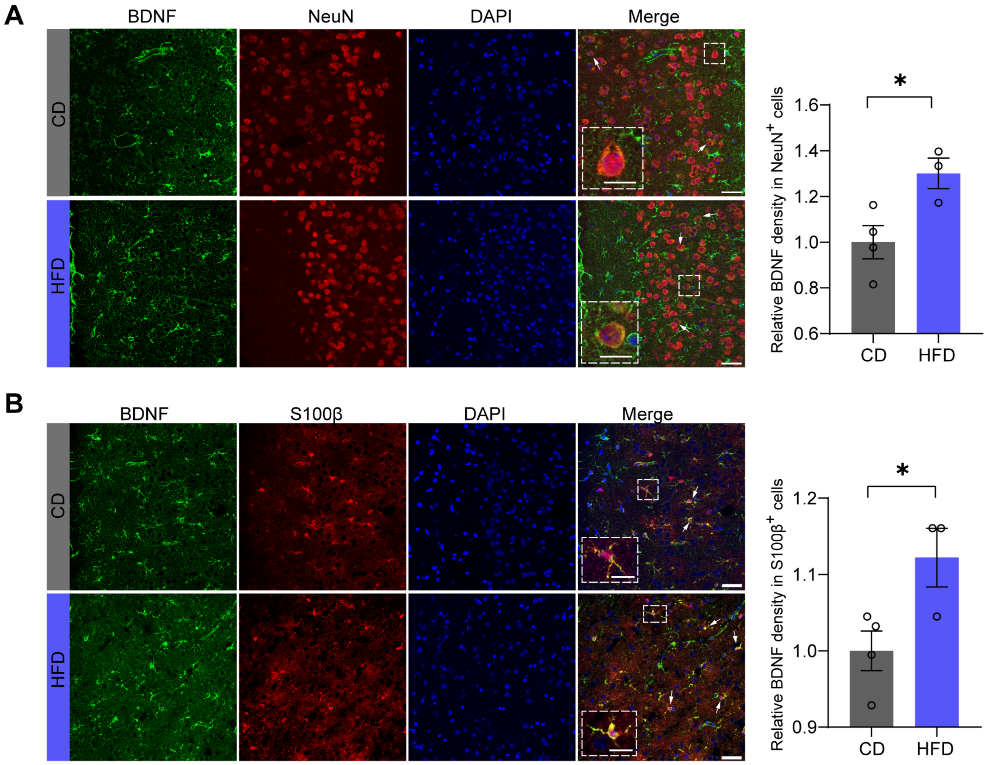 Brainsci 14 00389 g004