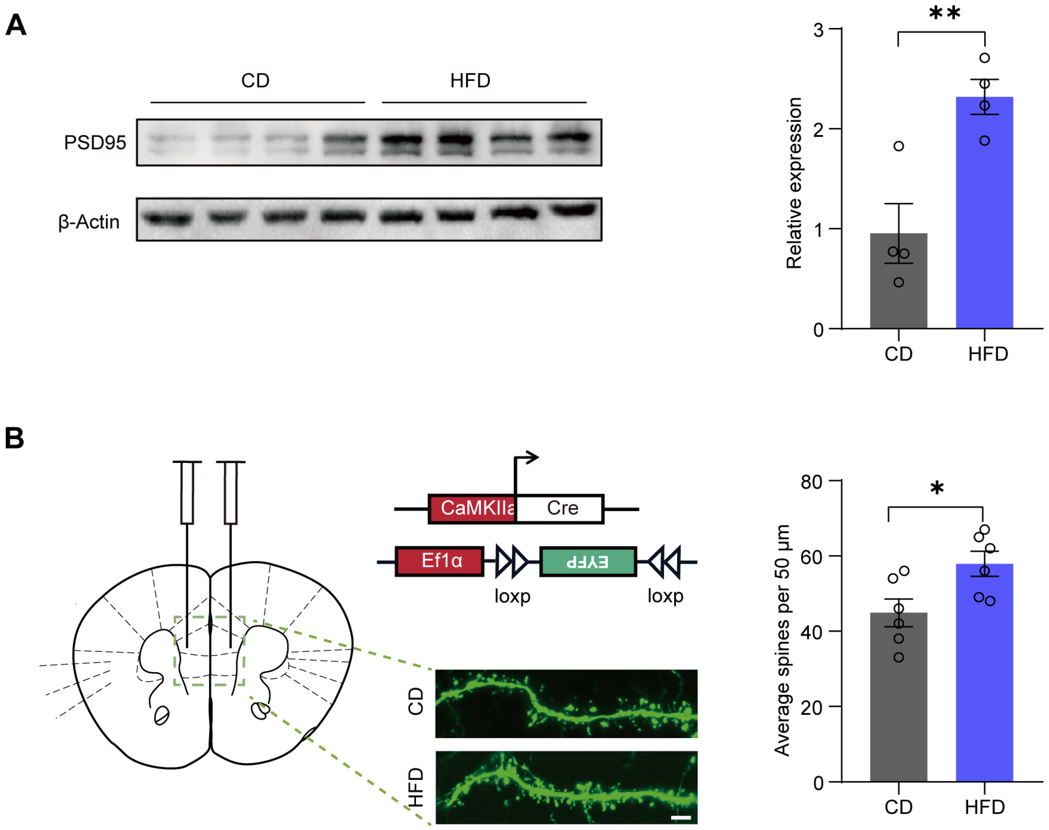 Brainsci 14 00389 g005