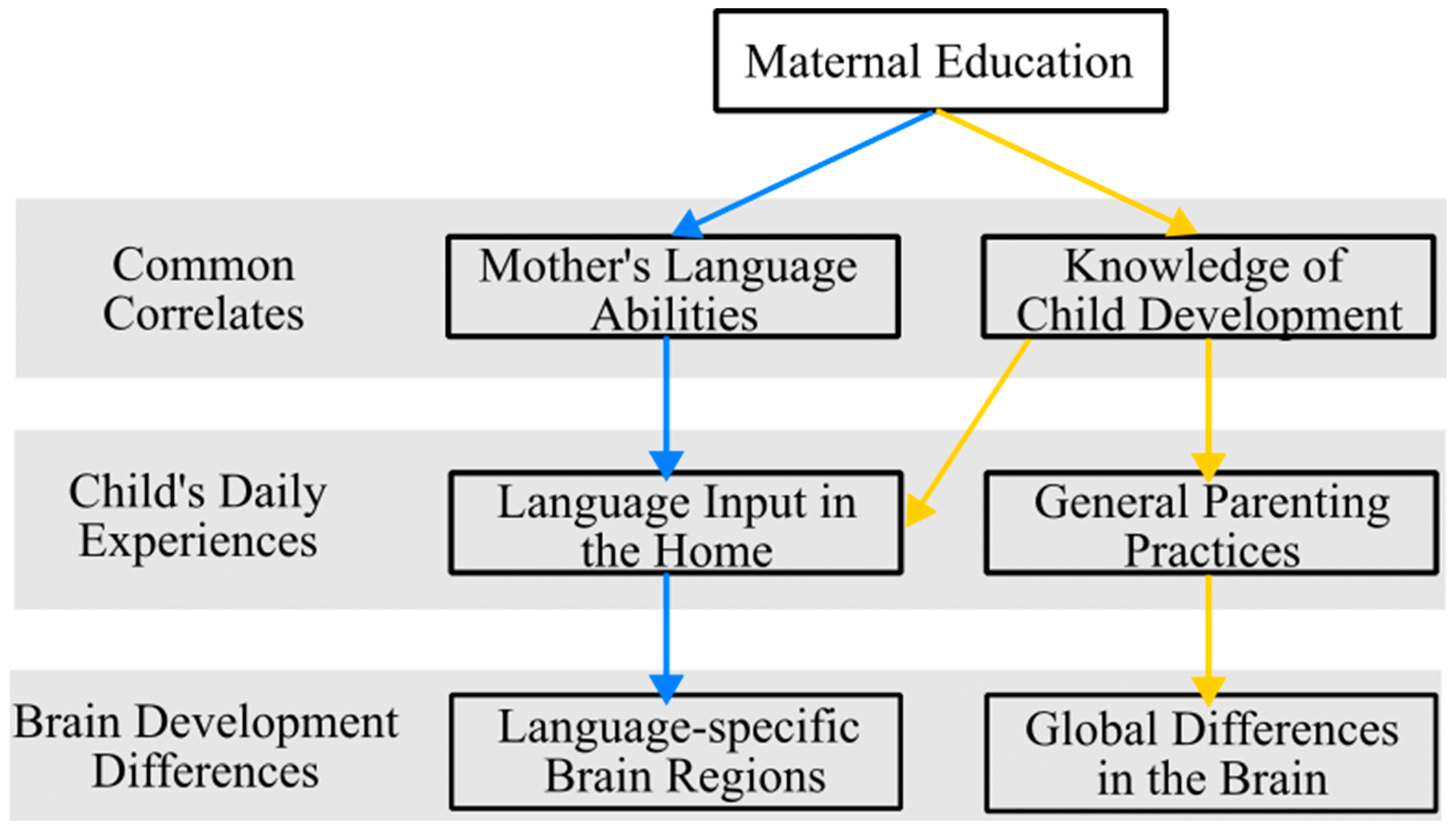 Brainsci 14 00392 g001 Brainsci 14 00392 g001