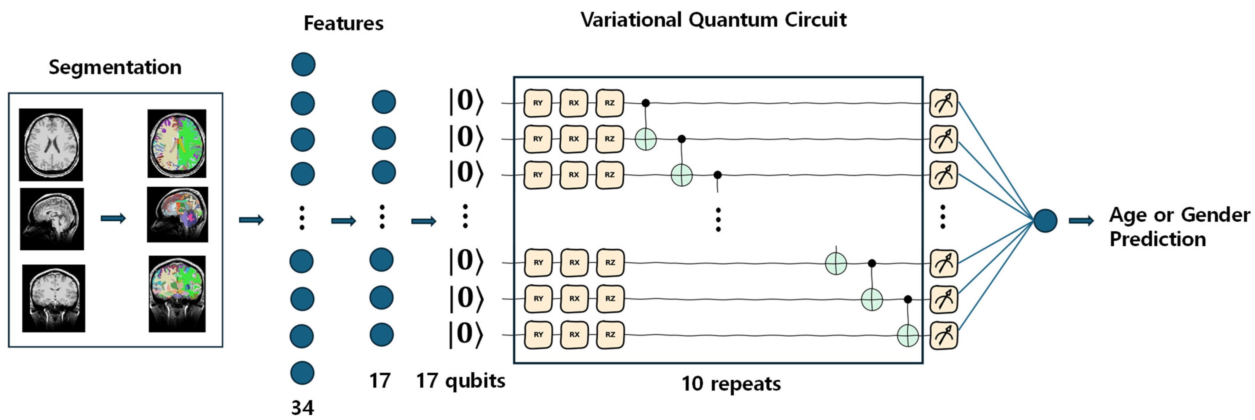 Brainsci 14 00401 g002