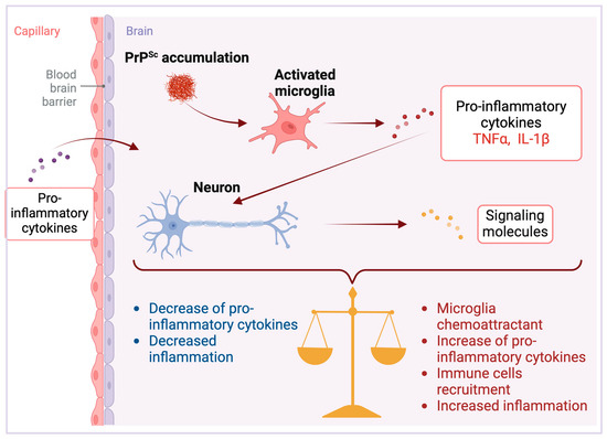 Brainsci 14 00413 g003