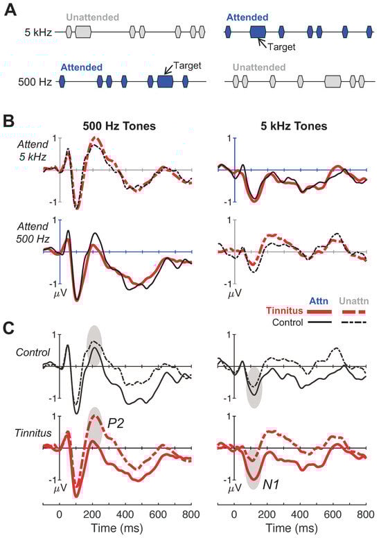 Brainsci 14 00421 g003