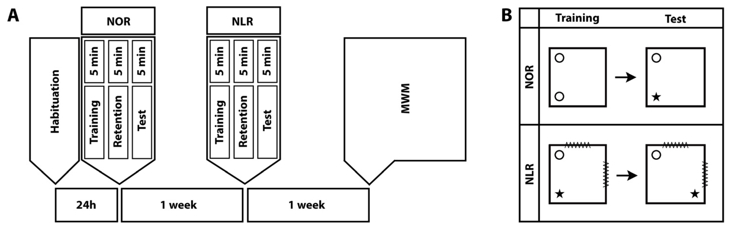 Brainsci 14 00427 g001